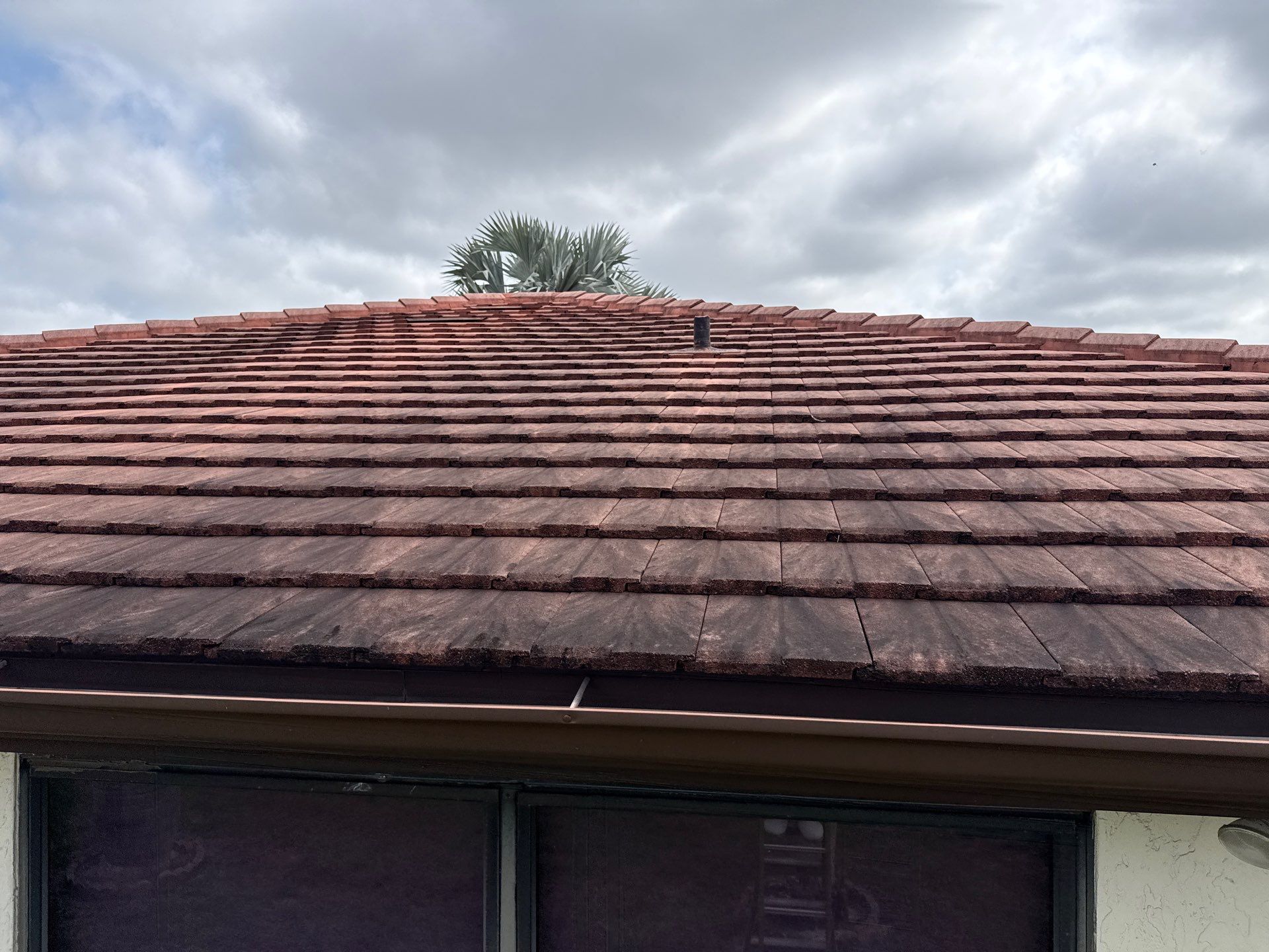 Tile Roof Cleaning – Vivenda at Bradenton I (Same-Day Service & Facebook Review) by Sunshine AquaWash