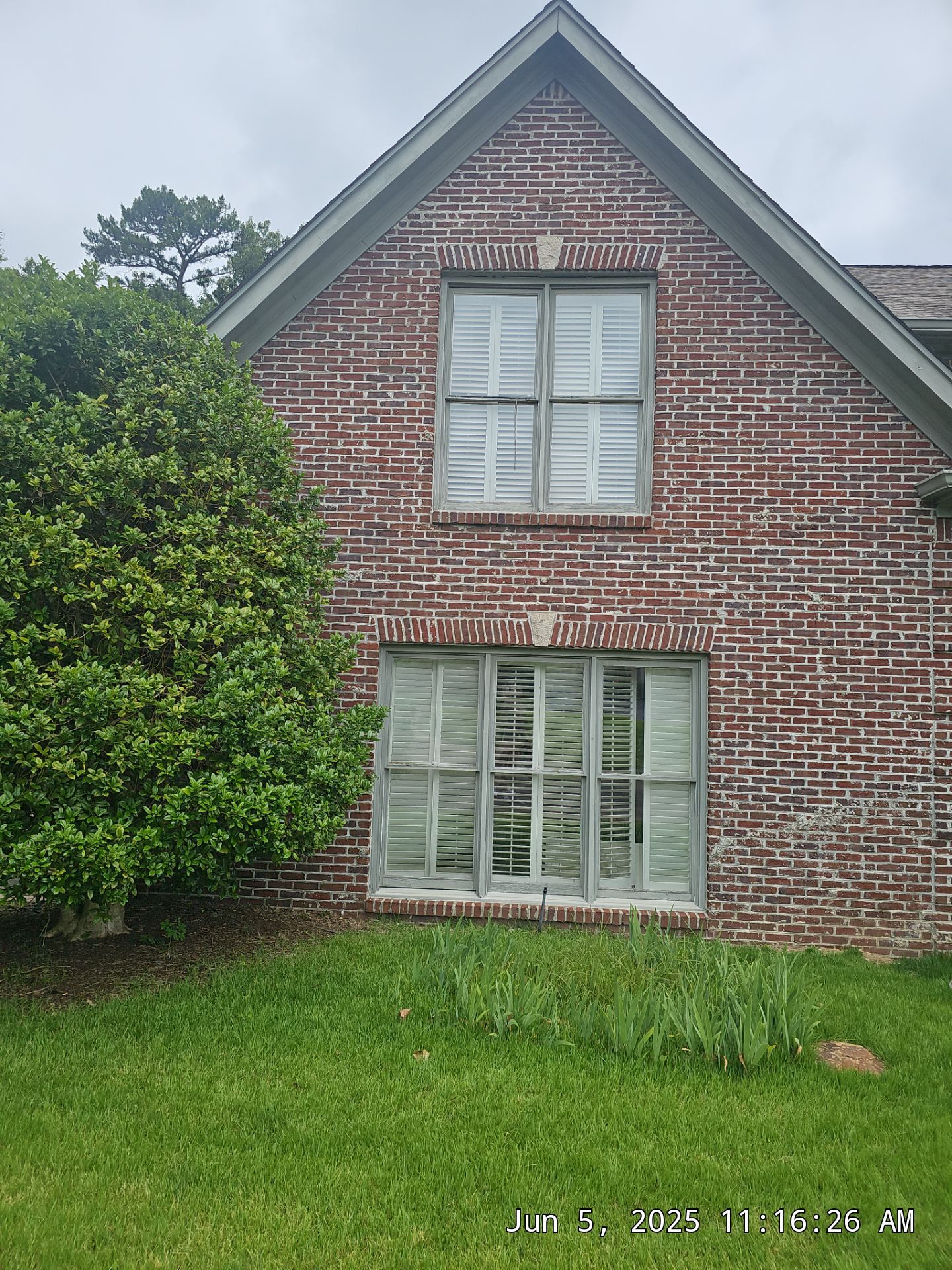 Wallace Project in Hoover by The Window Source