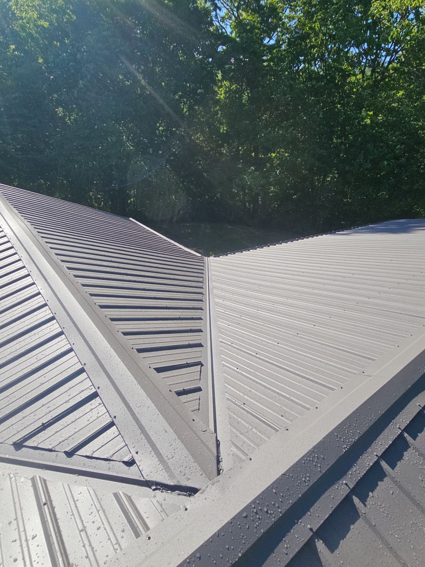Yelton Residence by Omnia Roofing
