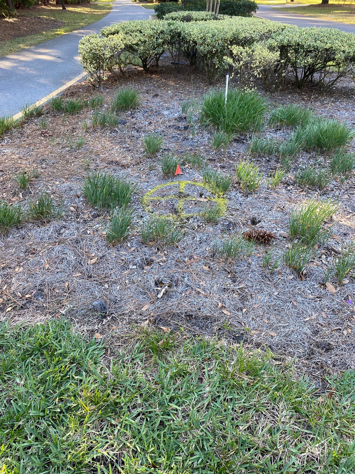 Deerwood Community | Oak Tree Replacement Project by ProGreen Services