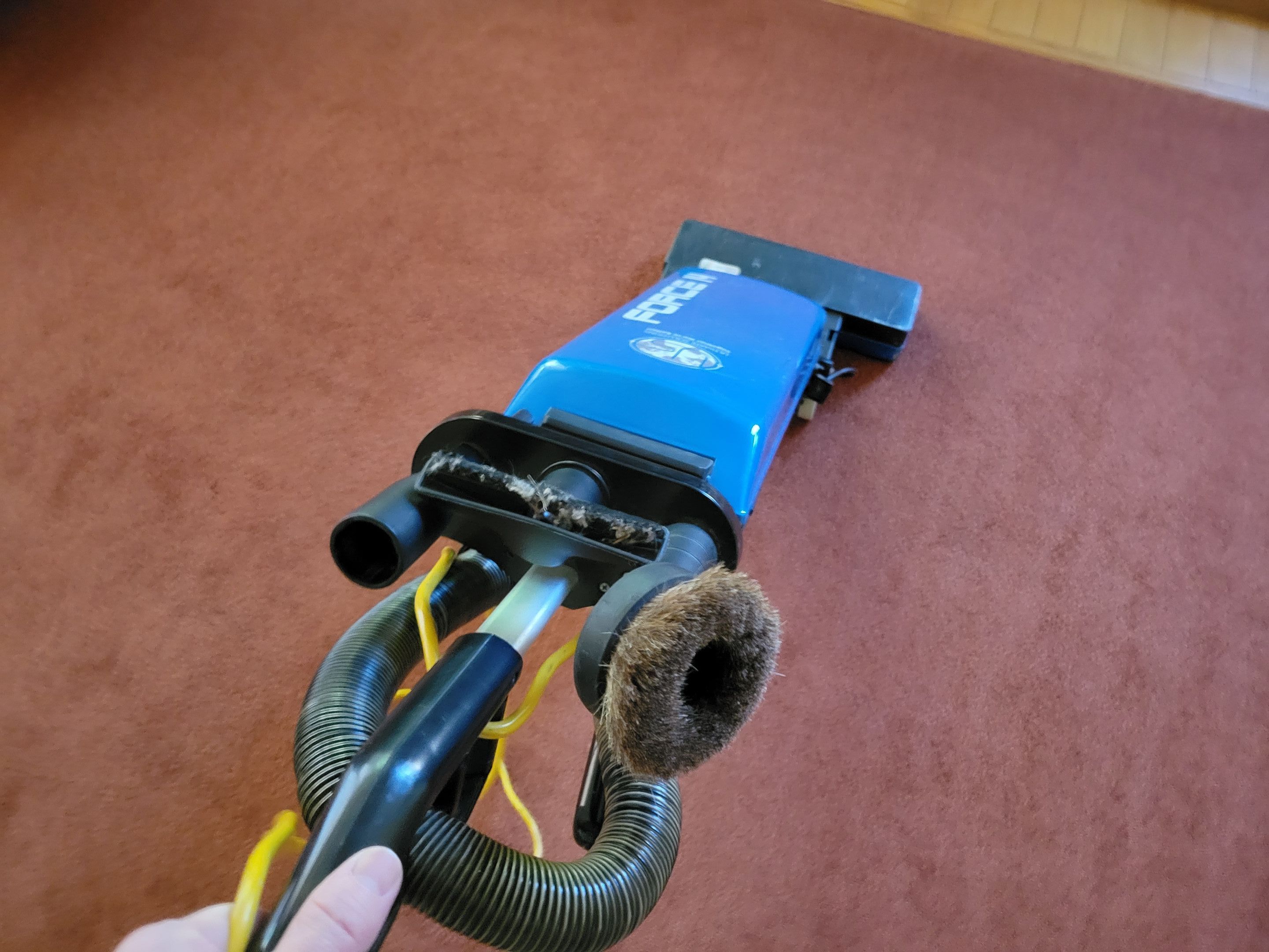 Carpet & Upholstery Cleaning by Ardent Carpet Restore LLC