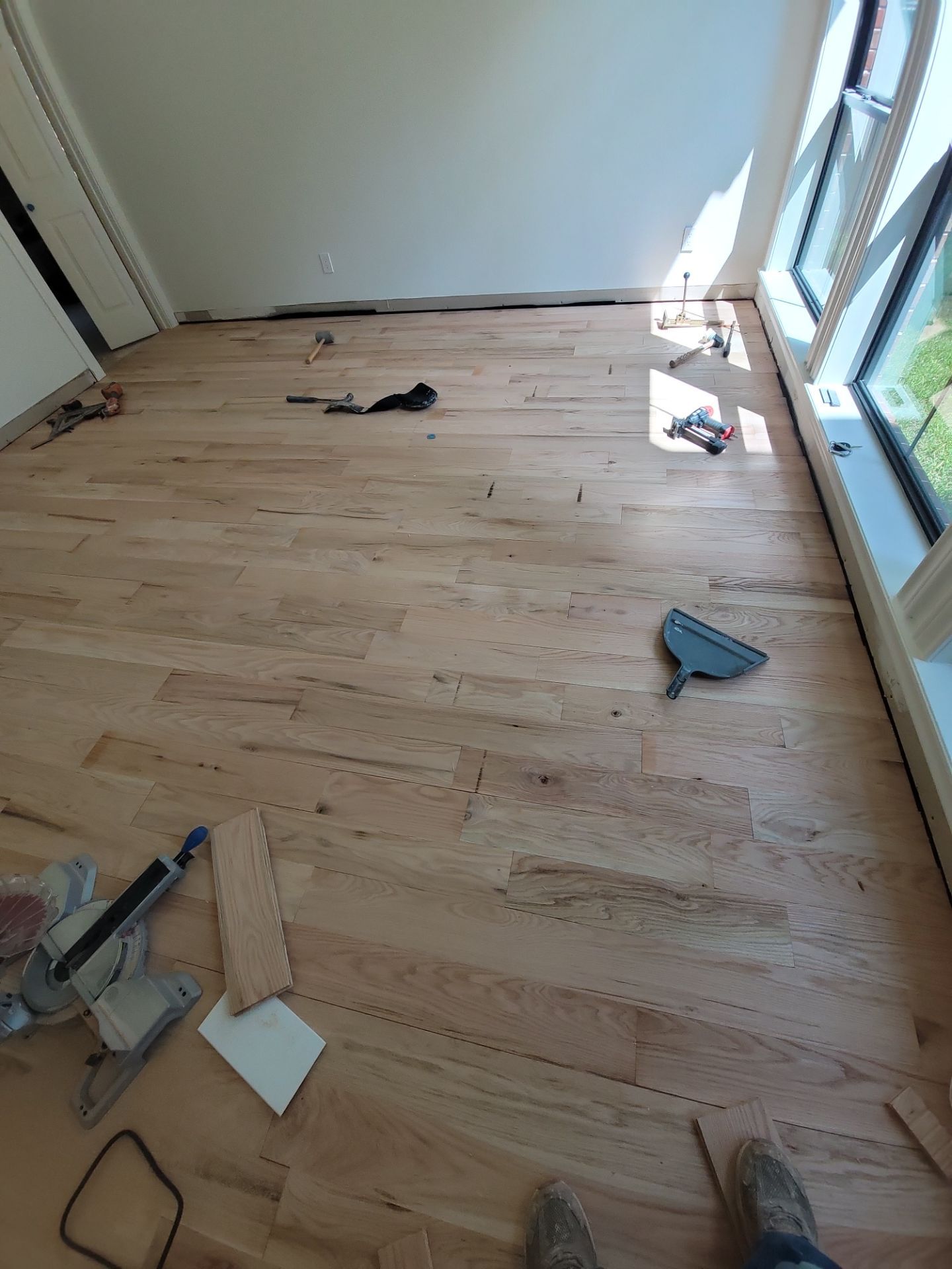 The Napolitano Family by SophAlx LLC