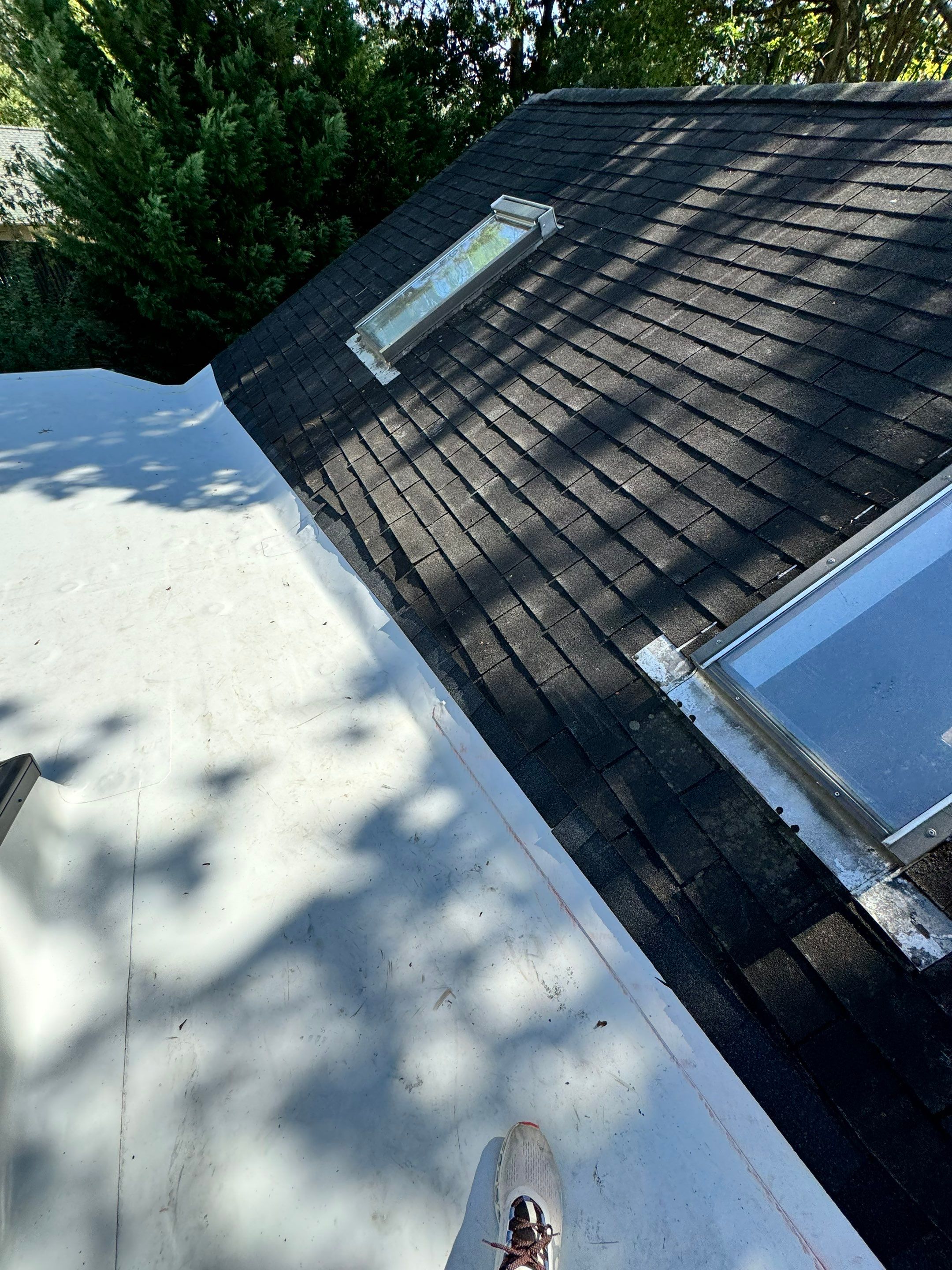 Alexandria: Residential Flat Roof Replacement with MuleHide TPO by RM Banning, Inc.