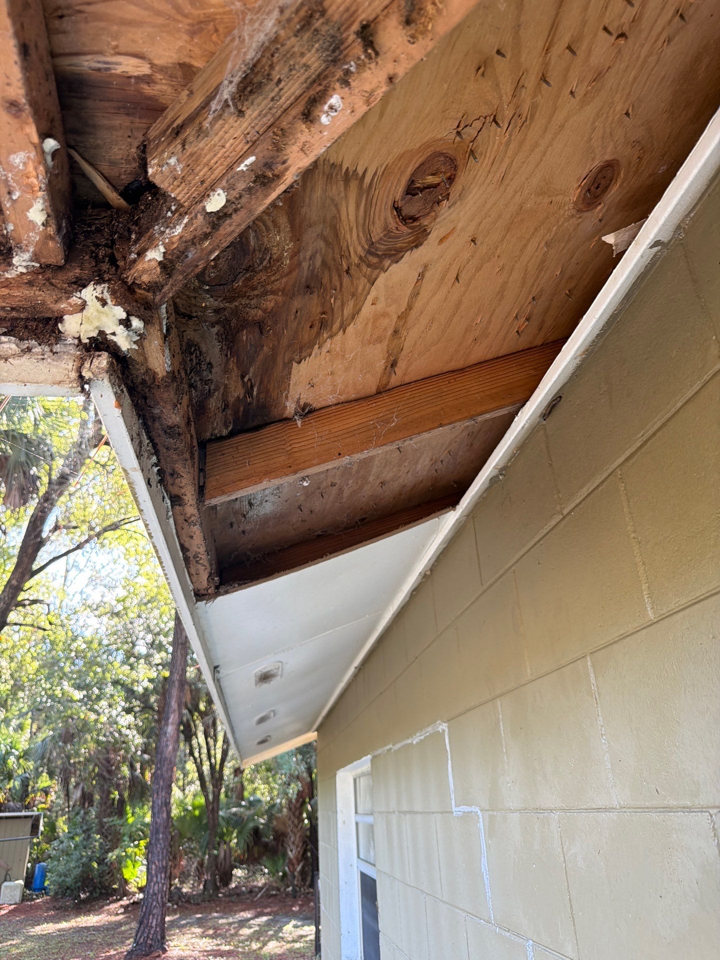 Sorrento Residential Fascia Repair and Soffit Wood Rot Restoration by Fortified Roofing Solutions Corp.