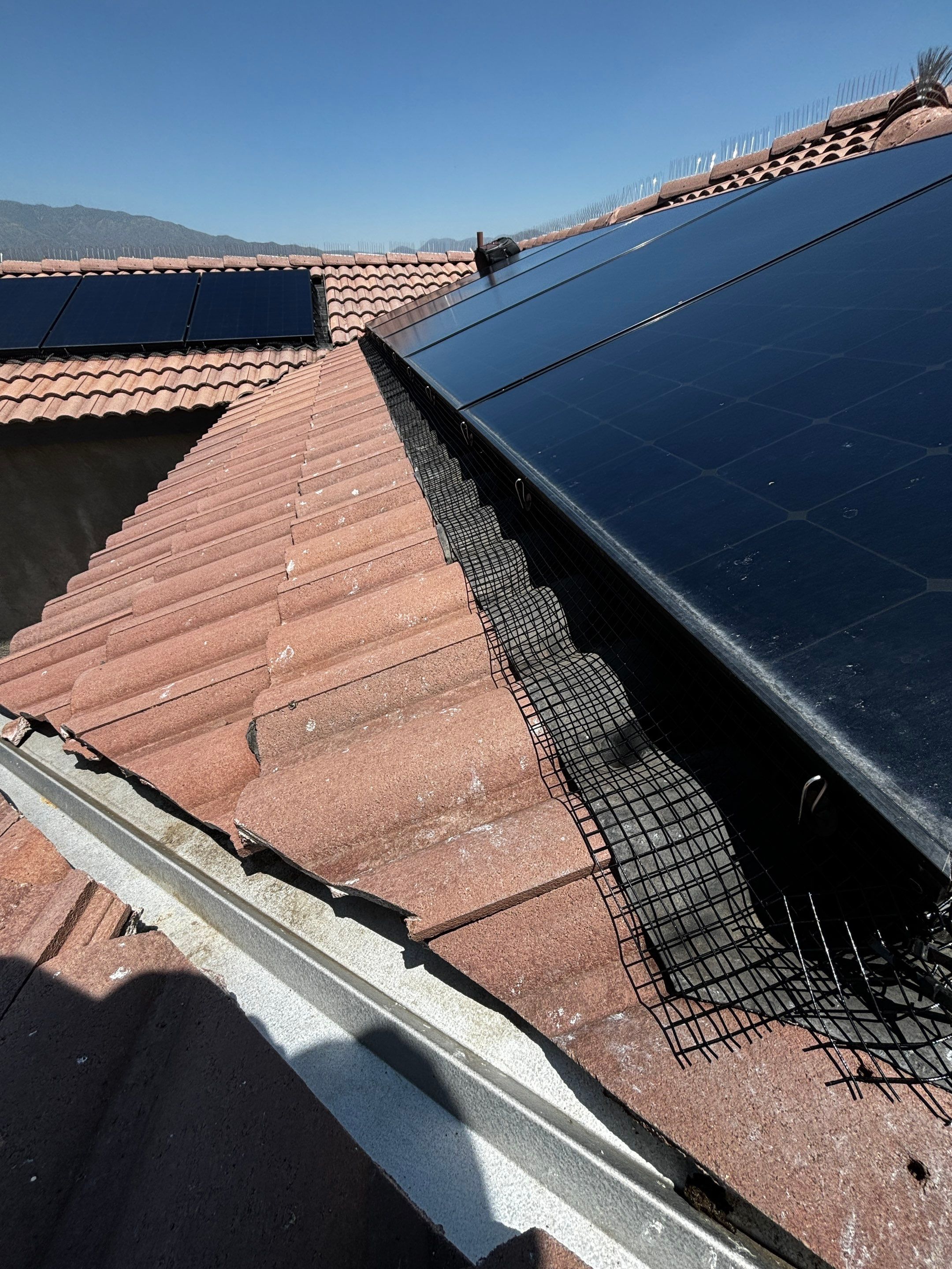 Solar Panel Bird Proofing in Fontana Ca by Palm Coast Solar Cleaning