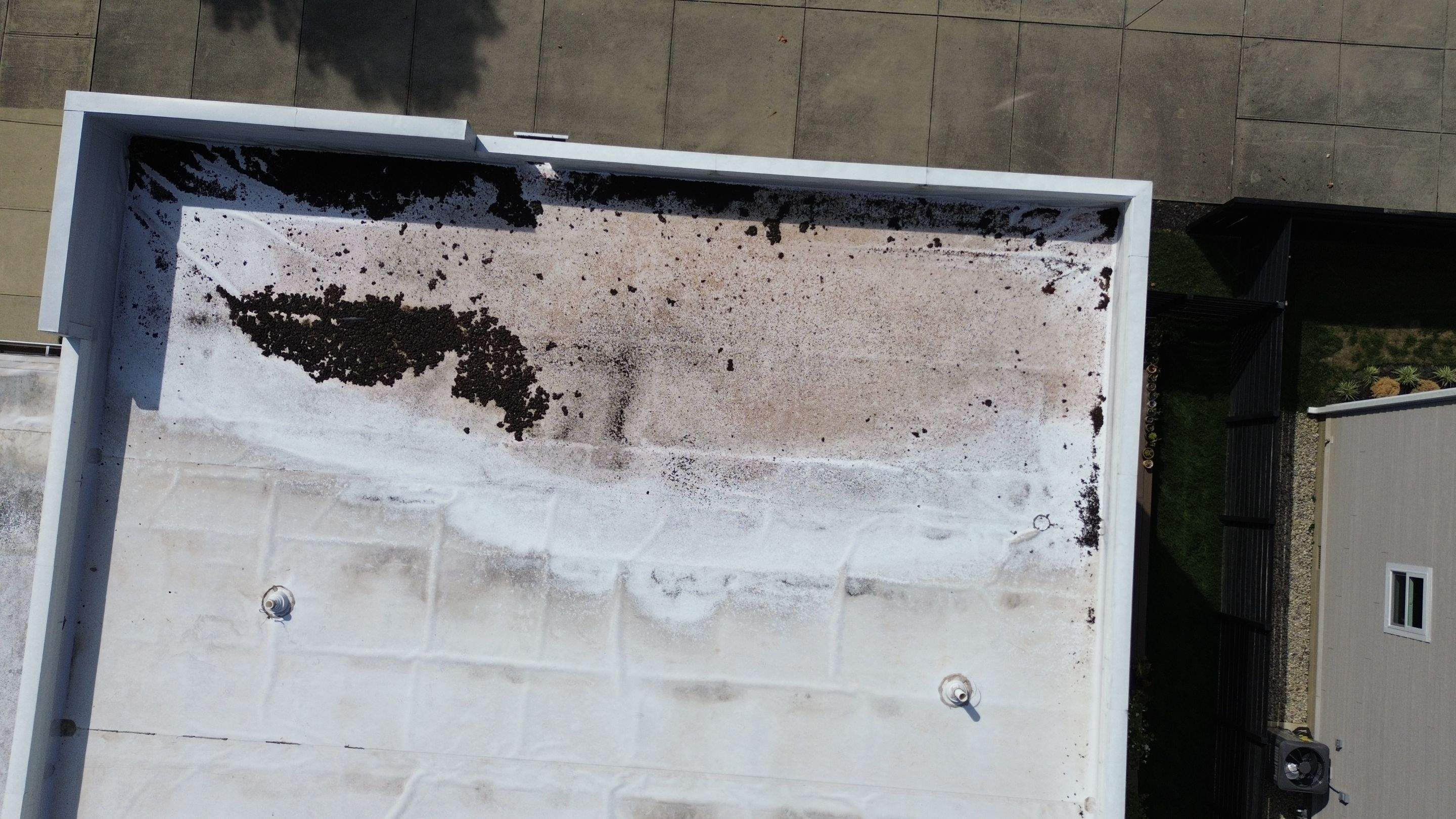 2610 Broadway St • Indianapolis, IN 46205 by 317 Roofing & Restorations