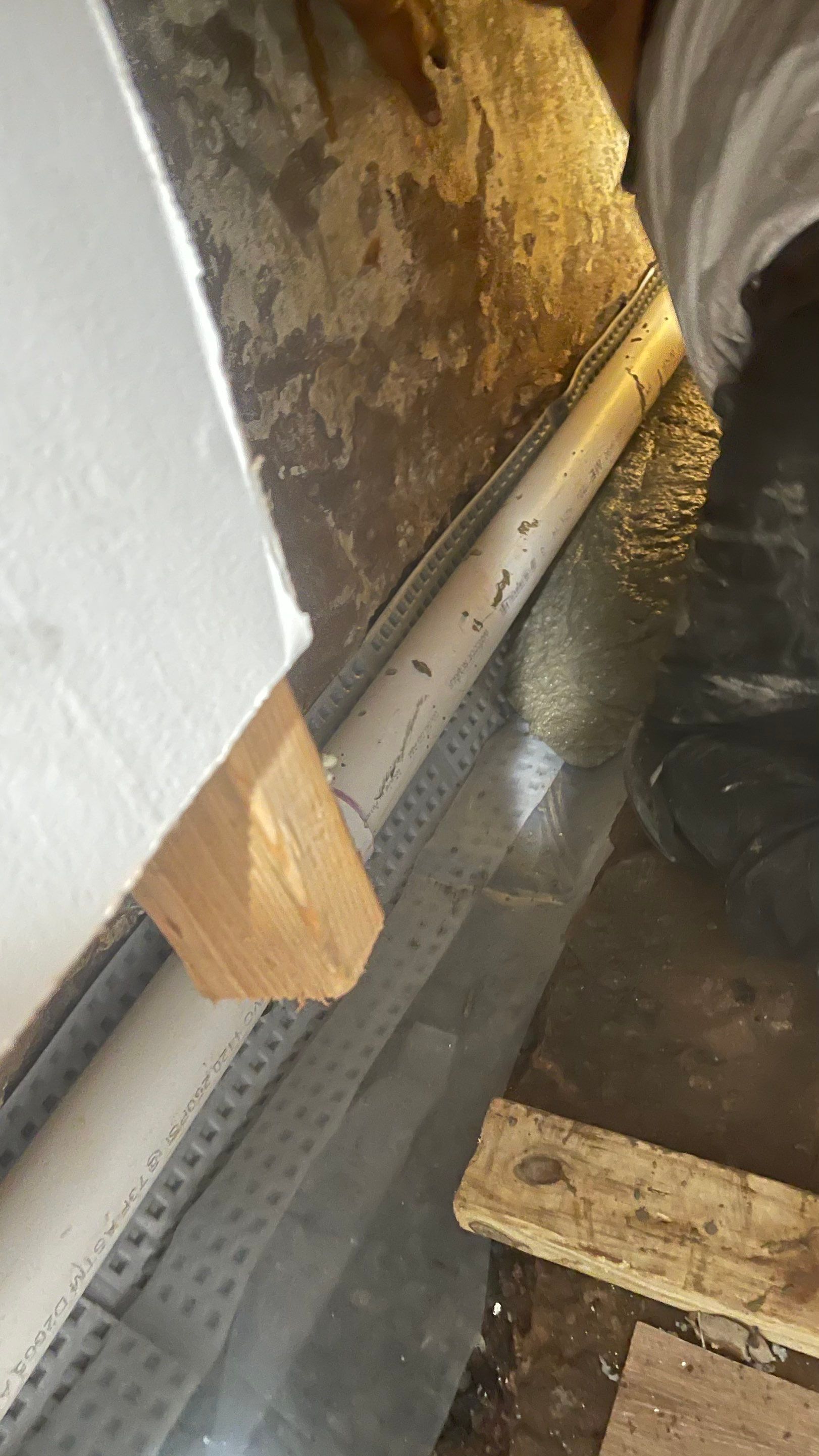 Interior French Drain Job in Lyndhurst, NJ by Pure Service Pro, LLC 