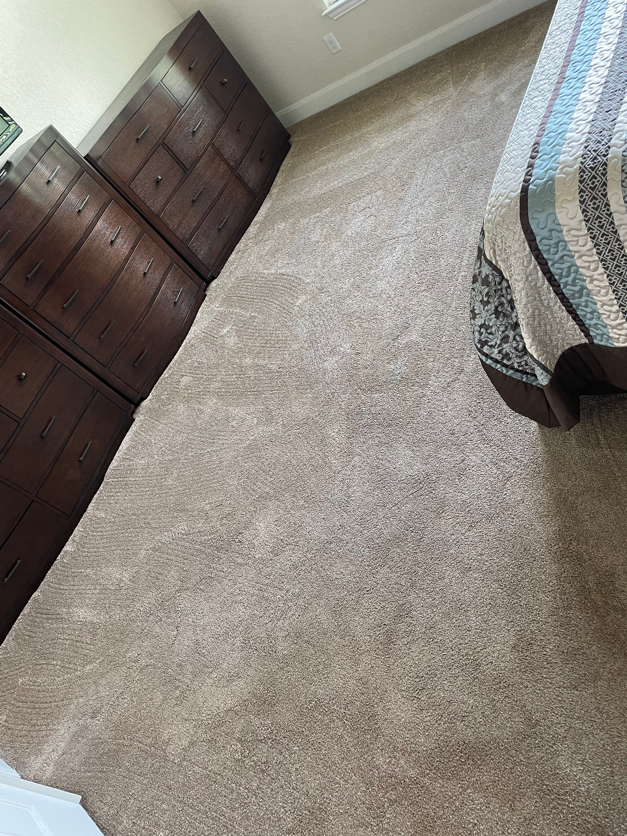 carpet cleaning service removing dirt stains and refreshing carpet fibers in residential bedroom