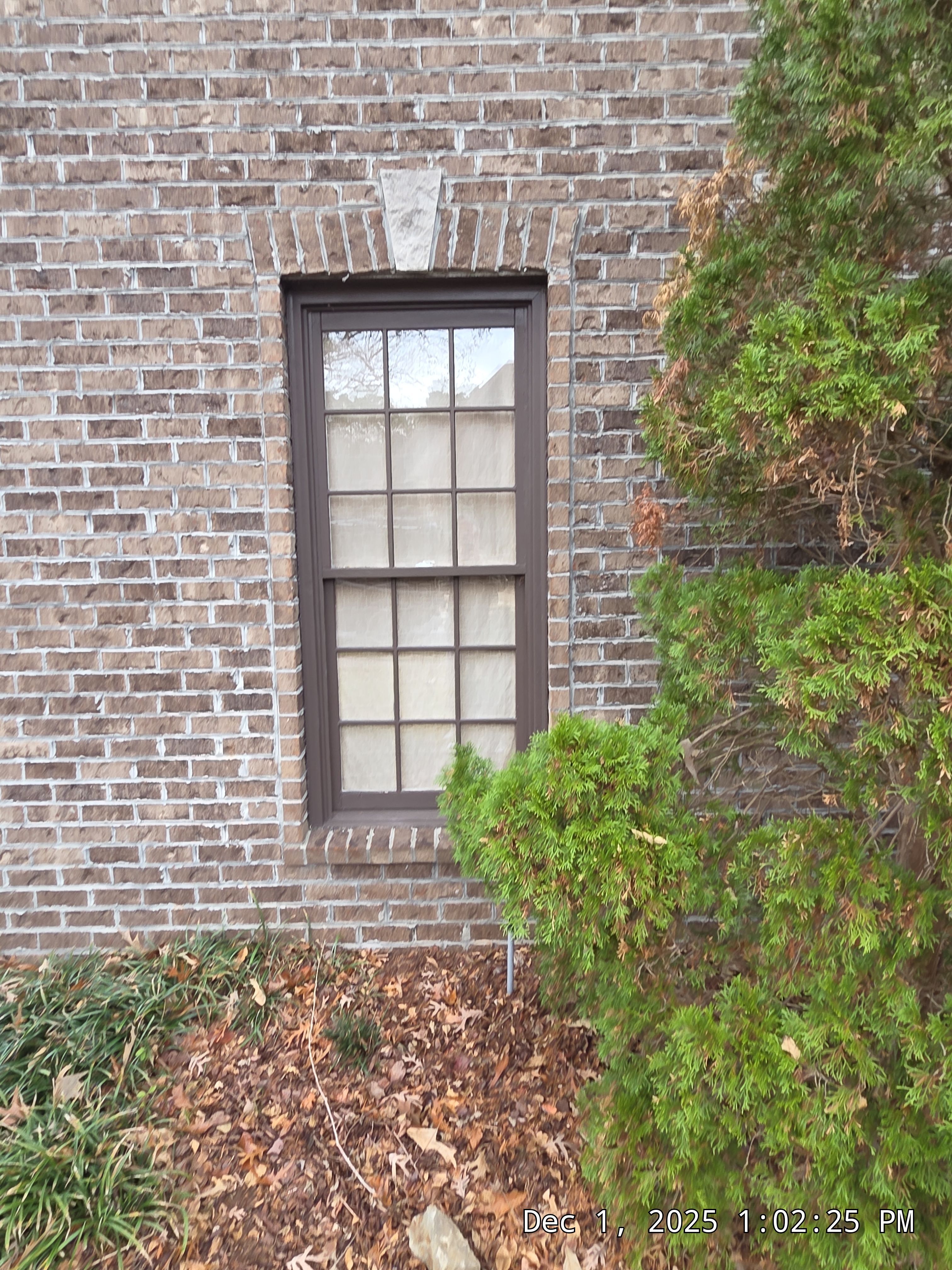 Lewis Project in Hoover by The Window Source