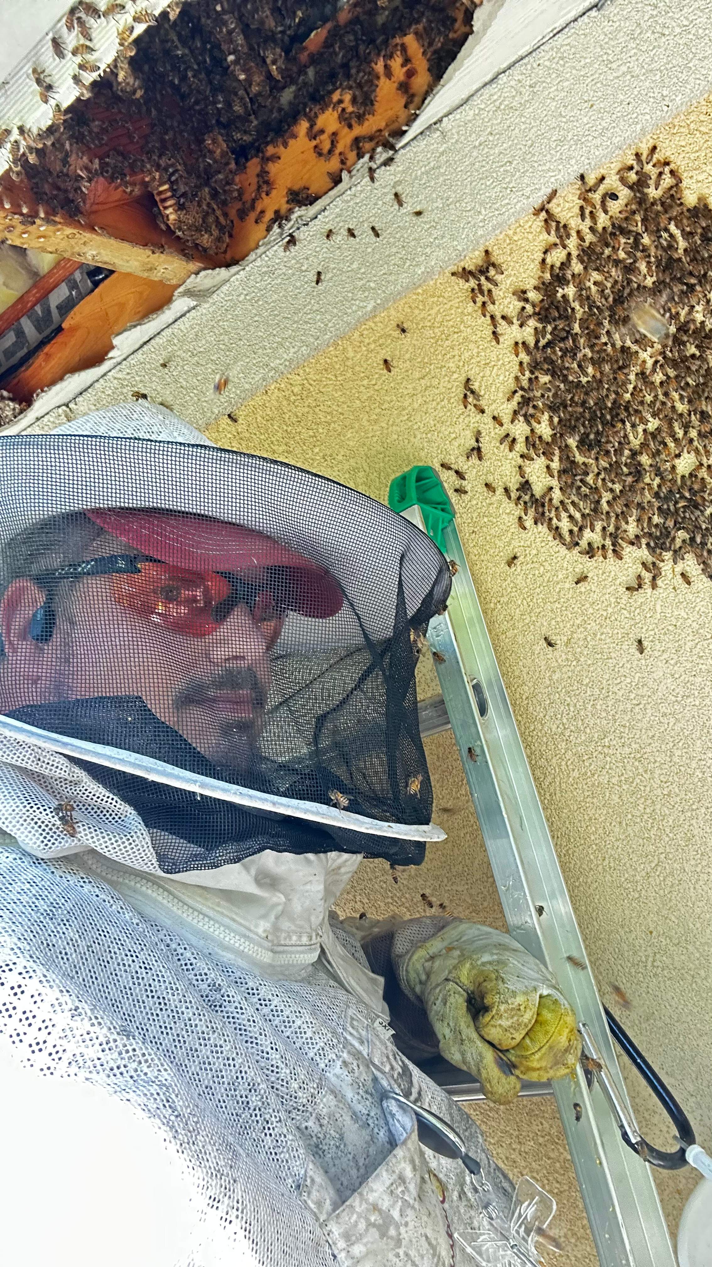 Beloved by Rockwall Honey Bee Company