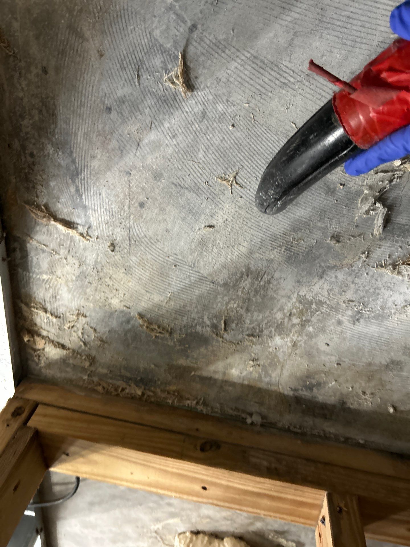 Stansell - water and mold photos  by THE RAPID TEAM