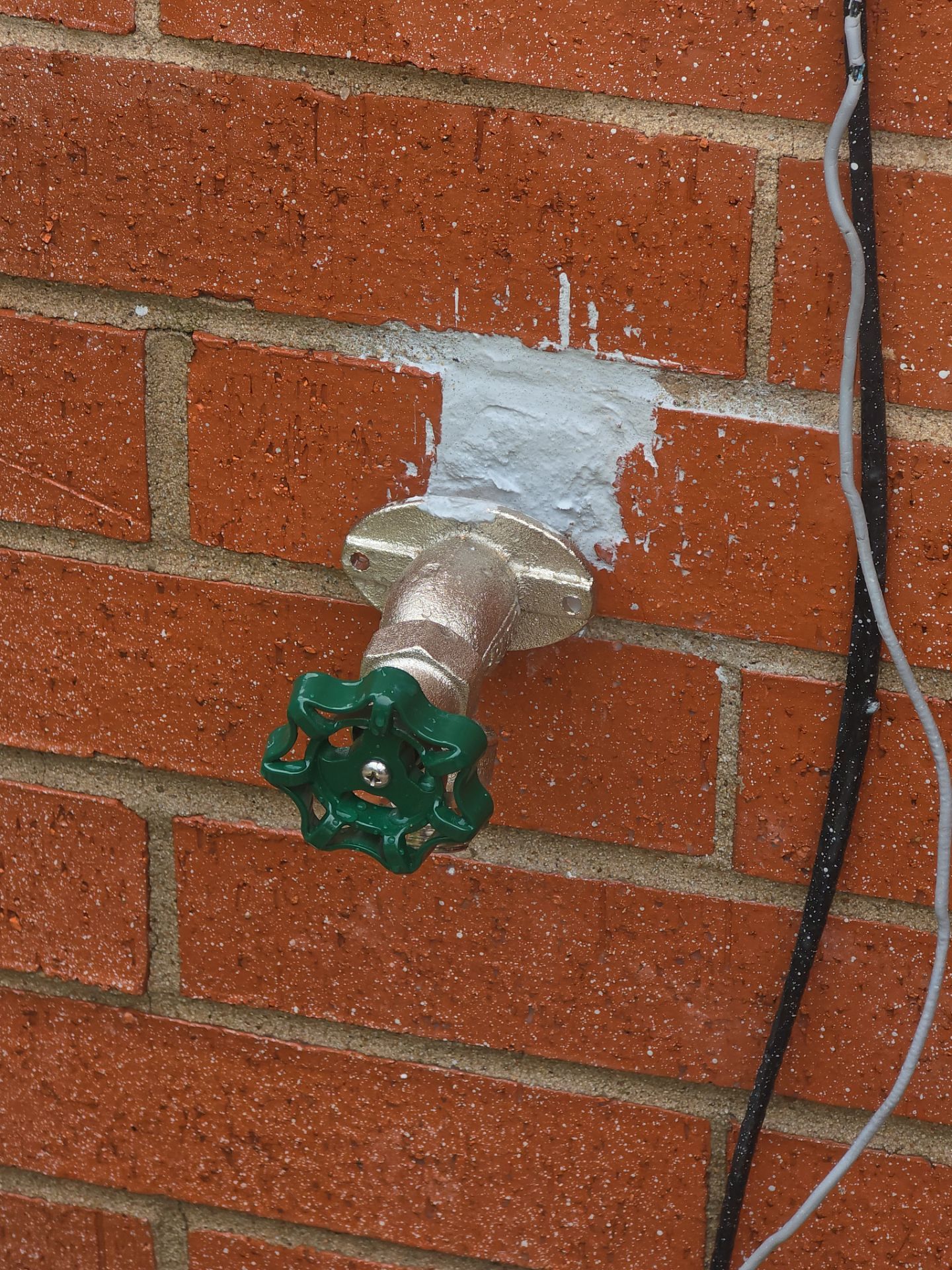 Pro-Rooter Plumbing & Drain Services featured photo.