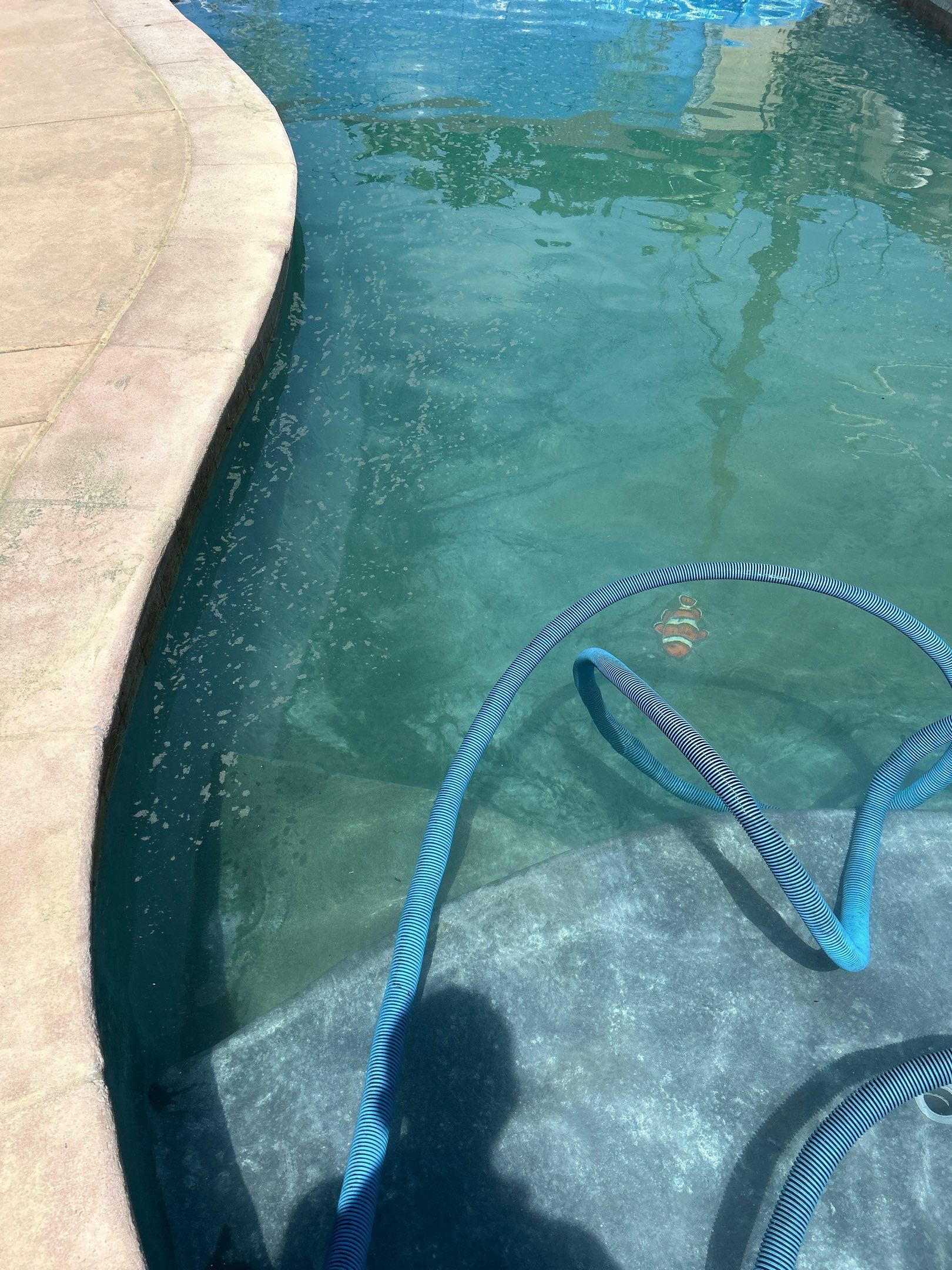 Sandblast & Staining Pool Deck In by La Power Washing Inc