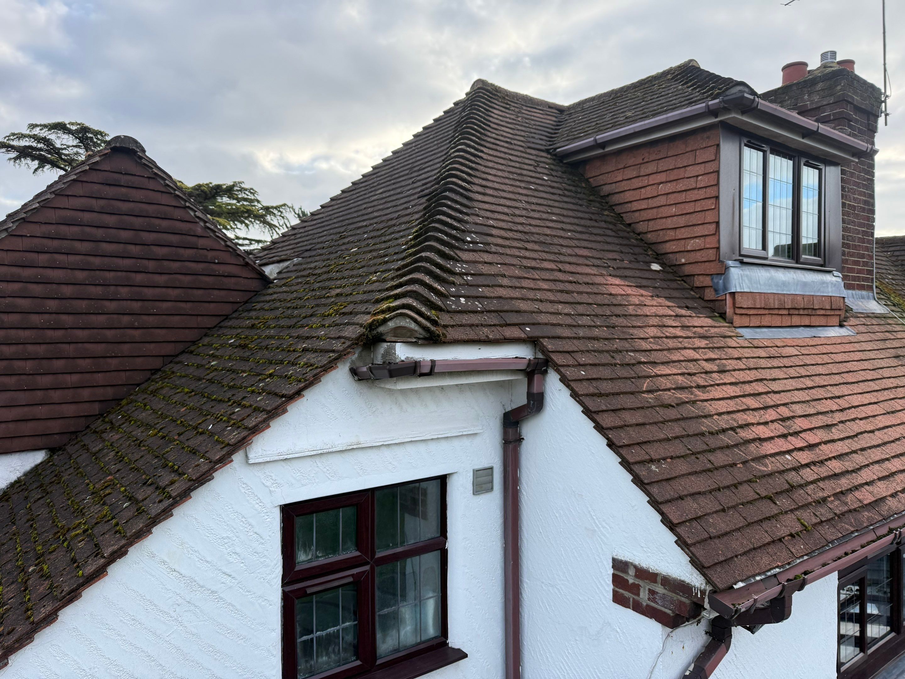 Roof Cleaning by Ges Exterior Cleaning ltd