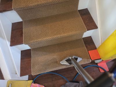 Carpet Cleaning in Folsom