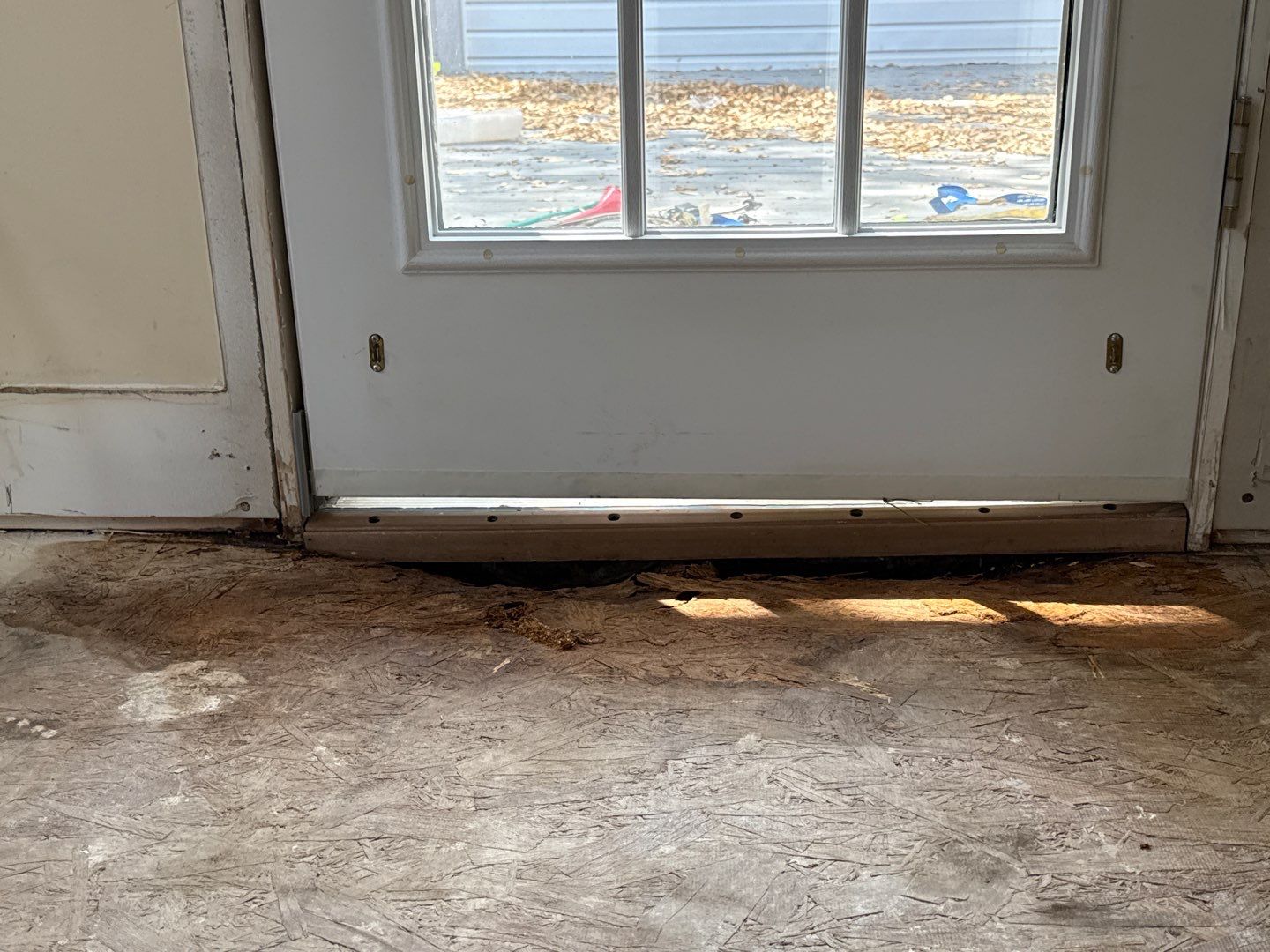 Real Estate Mold Remediation by Healthy Home Solutions