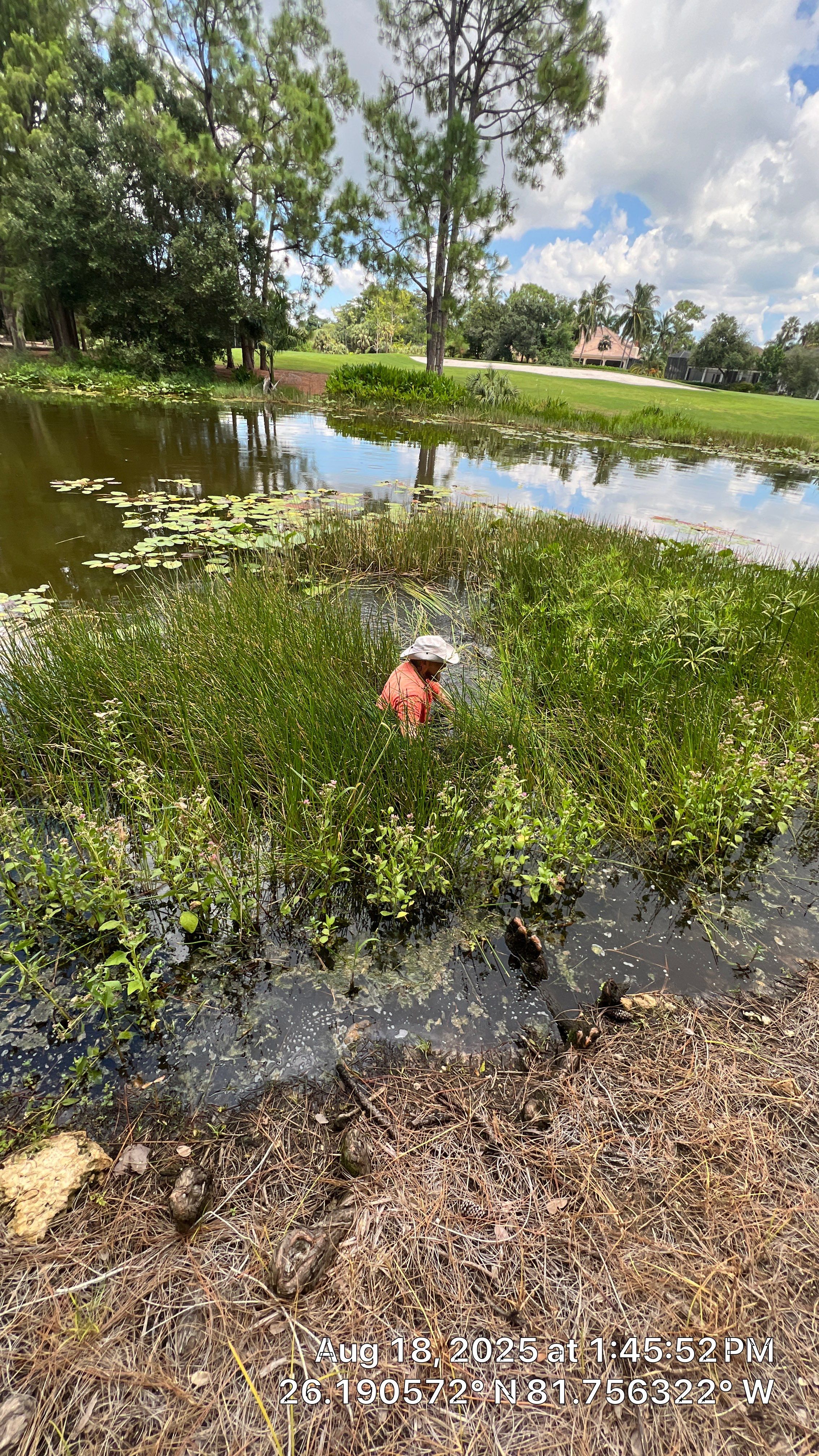 Naples Community Drainage Problems by APS Power & Water