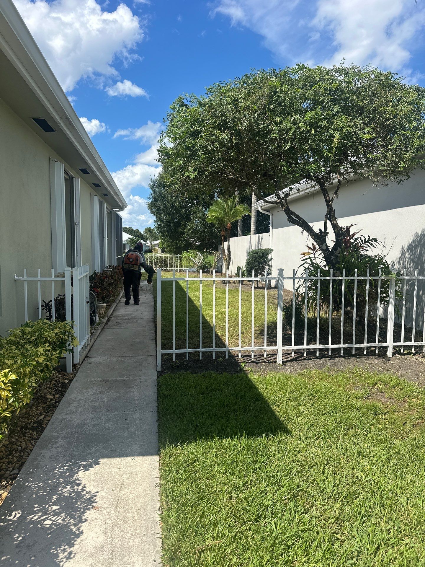 🌱 Evergreen Residential Cleanup — Palm City by Alpha Zeta Enterprises Inc