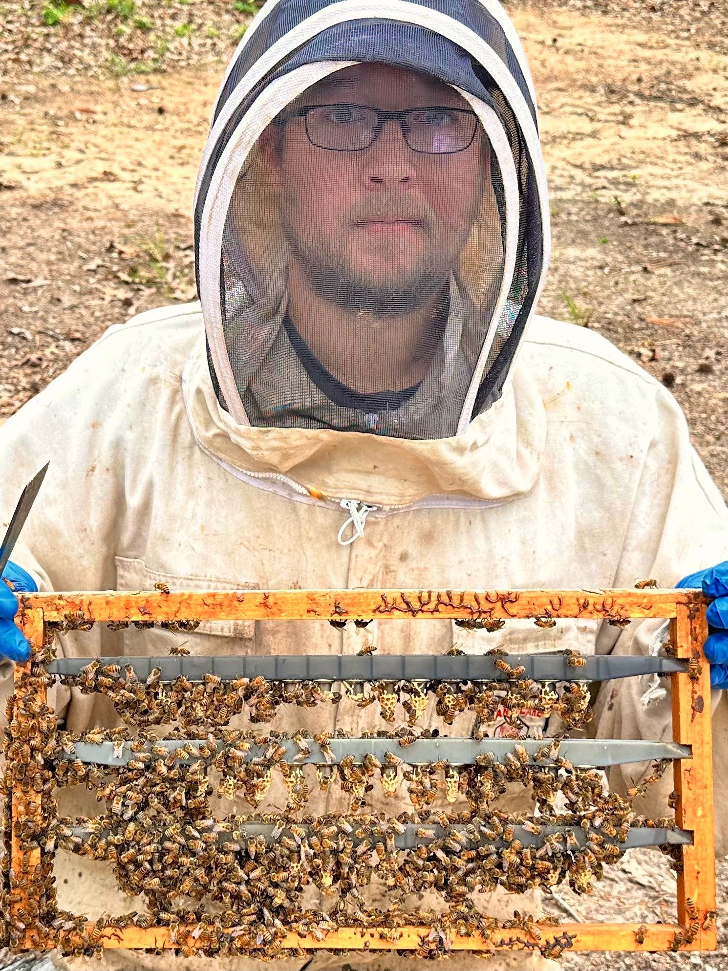 BeeGirl ETX HQ by Rockwall Honey Bee Company