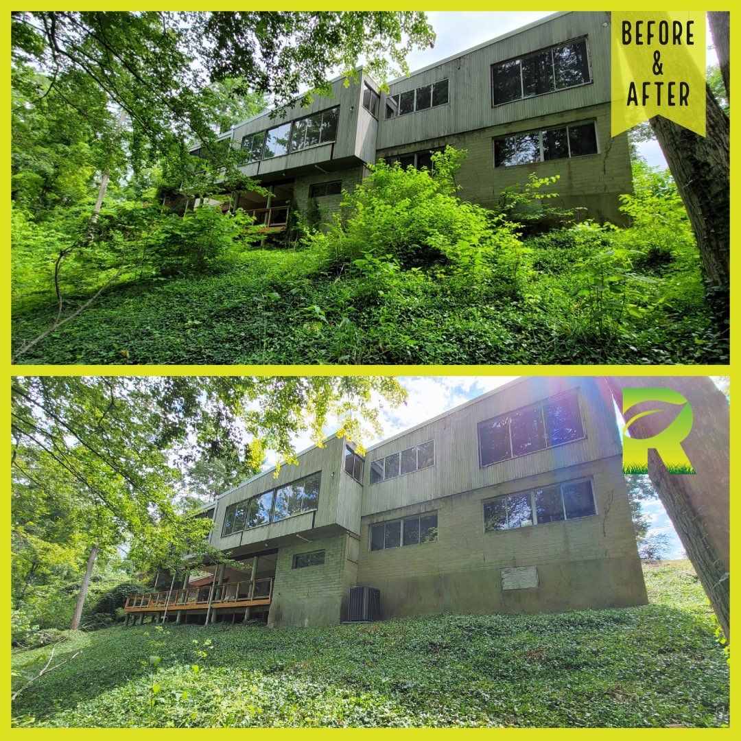 Land Clearing Behind House and Deck by Reisenberg’s Lawn & Landscape, LLC