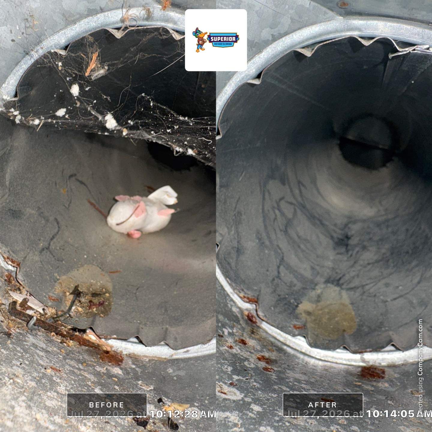 Residential Air Duct and HVAC System Cleaning in Gibsonia, PA by Superior Air Duct Cleaning