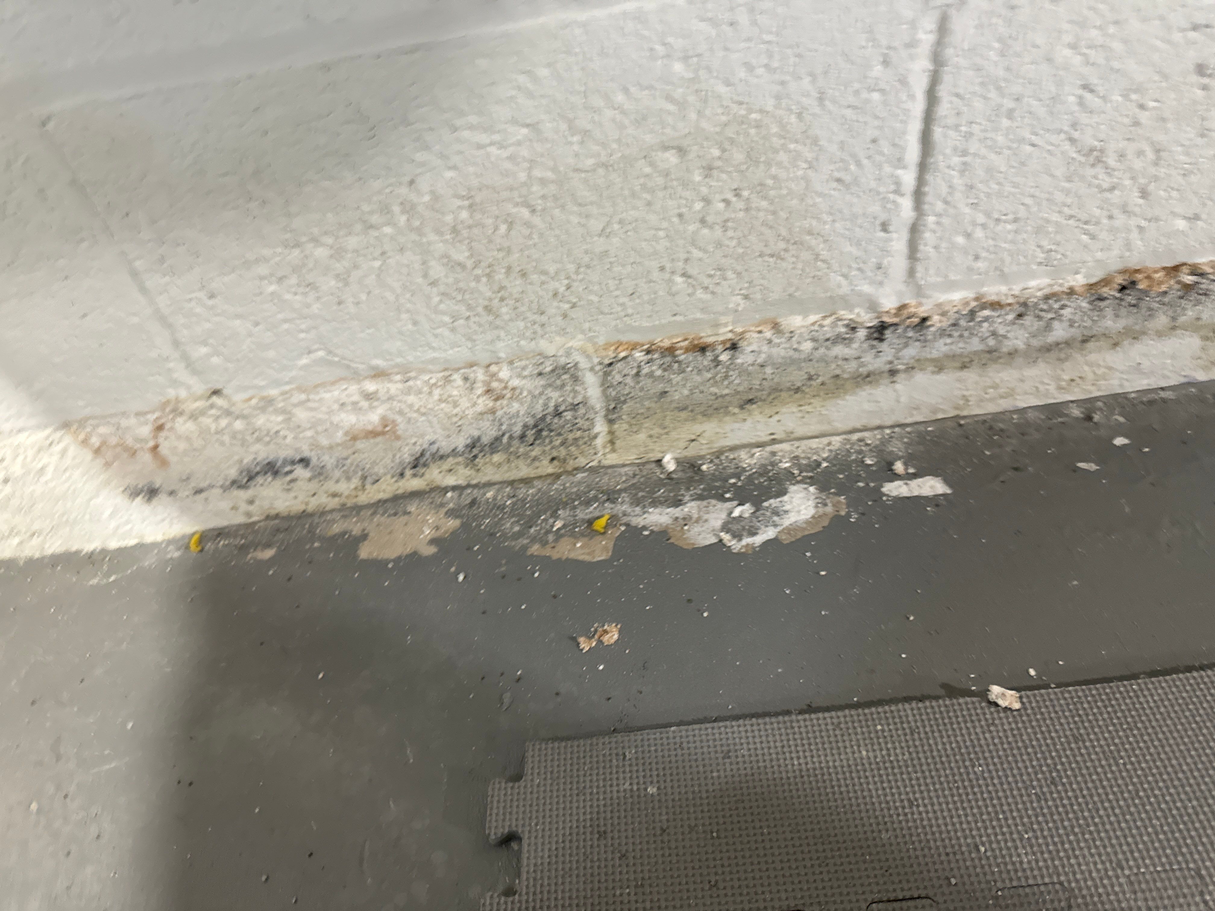 Interior French Drain Boonton NJ by Pure Service Pro, LLC 