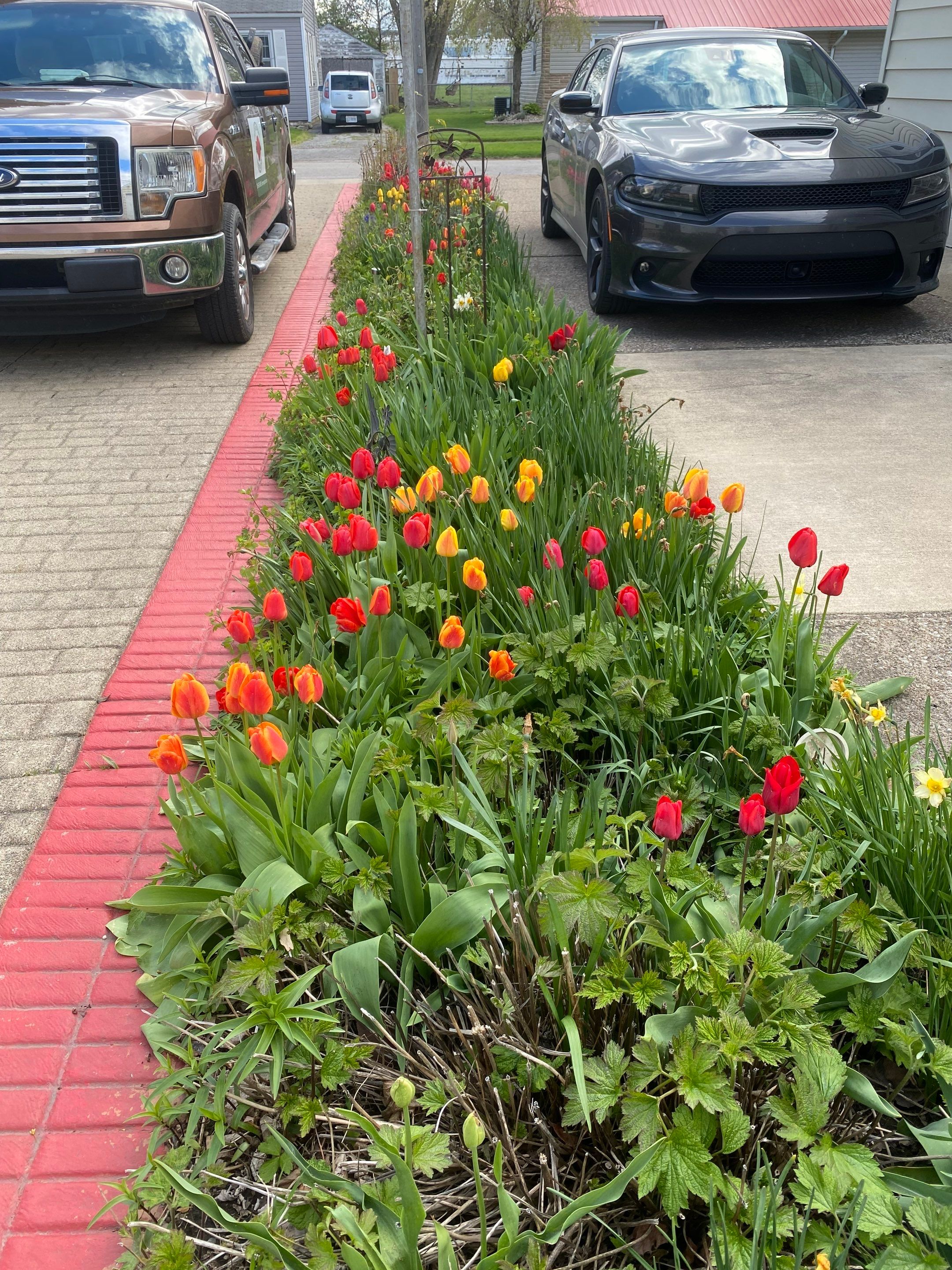 Block O Patio Project by Elm Rose Gardens