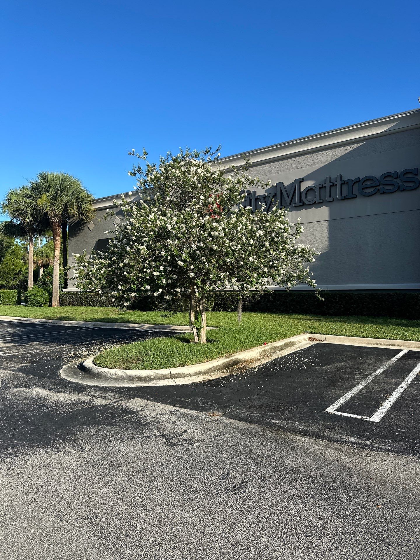 🛏️ City Mattress Refresh — Jensen Beach by Alpha Zeta Enterprises Inc