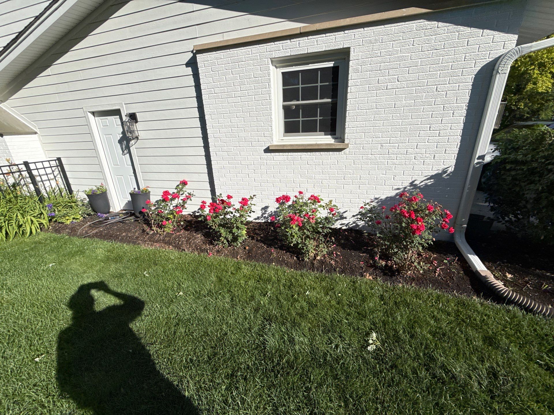 Lesley D. - Arlington Heights, IL by A&N 