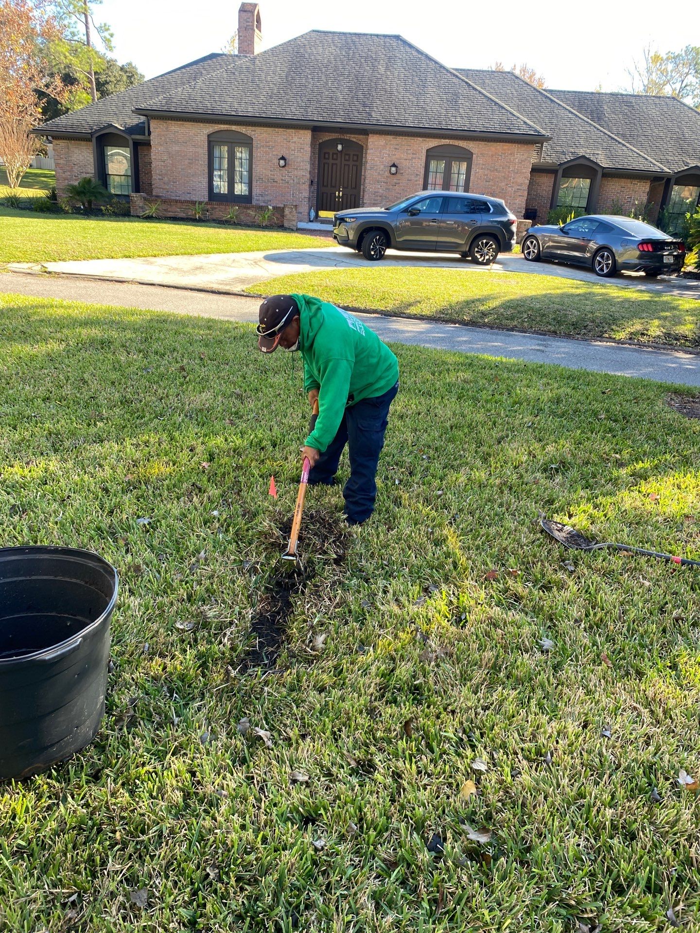 Deerwood Community | Oak Tree Replacement Project by ProGreen Services