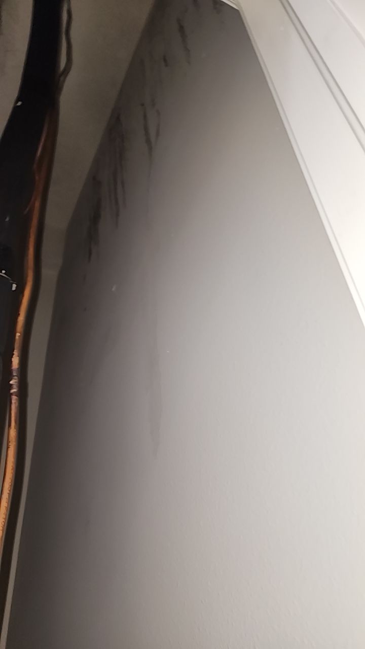 HVAC MOLD ASSESMENT by Building performance Solutions LLC