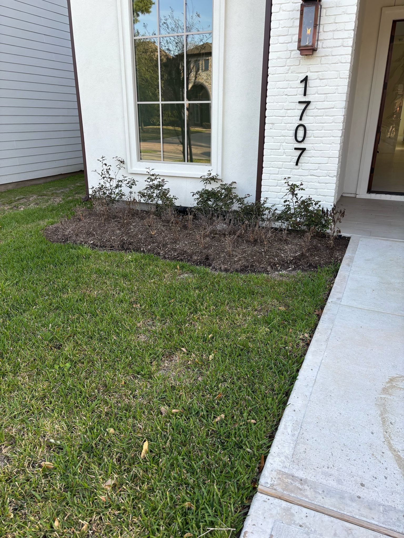 Open House Ready! Daniel Walldrop's Front Yard Flower Bed Makeover! 🏡🌿 by Texas Urban Elements