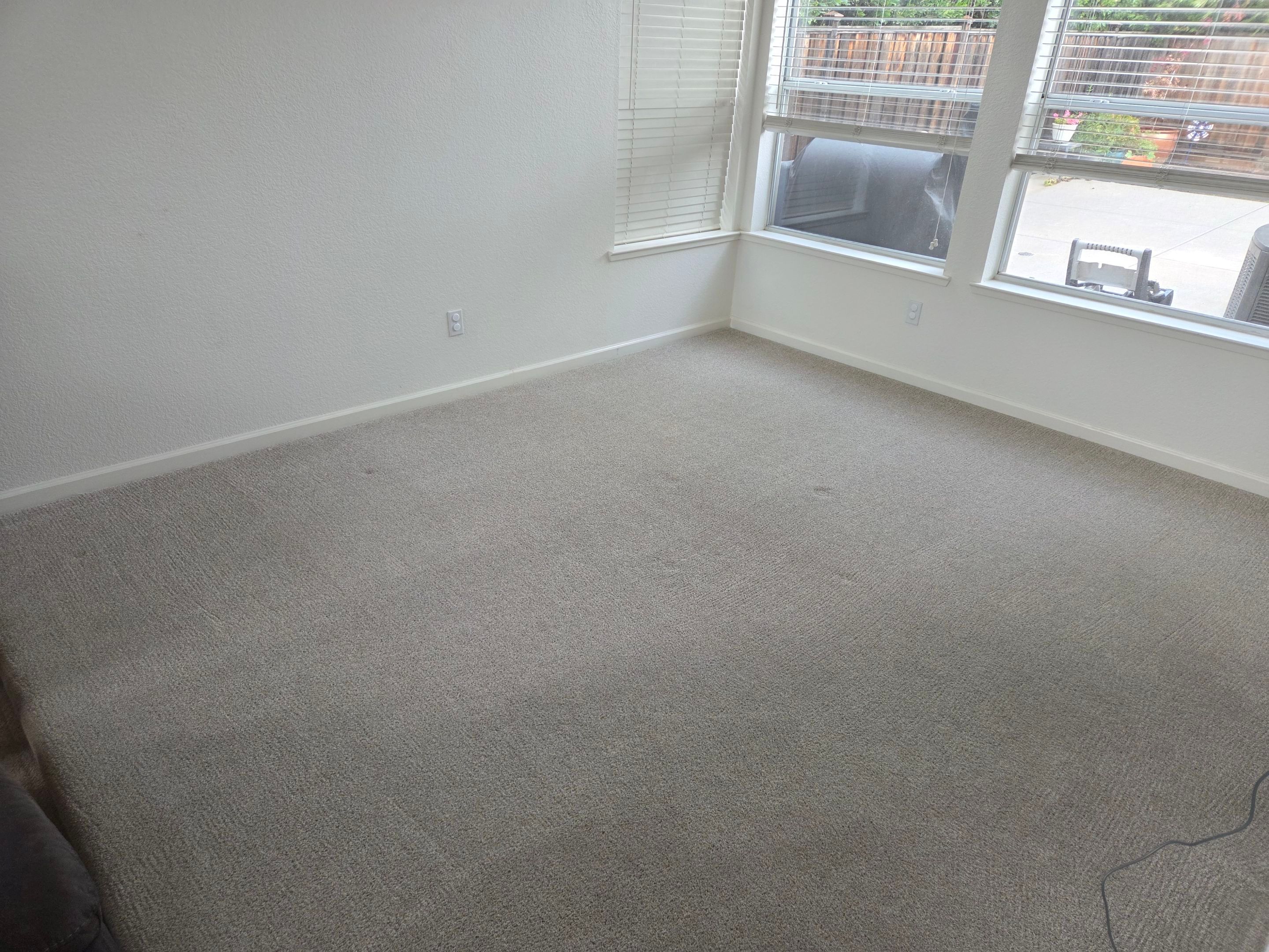 Carpet Cleaning and Pet Treatment by Ardent Carpet Restore LLC