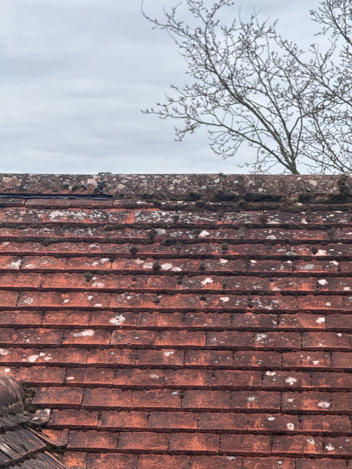 Roof Clean  - Moss Removal - Gutter Clean using Honda 15lpm Low Pressure Washing Machine by Ges Exterior Cleaning ltd