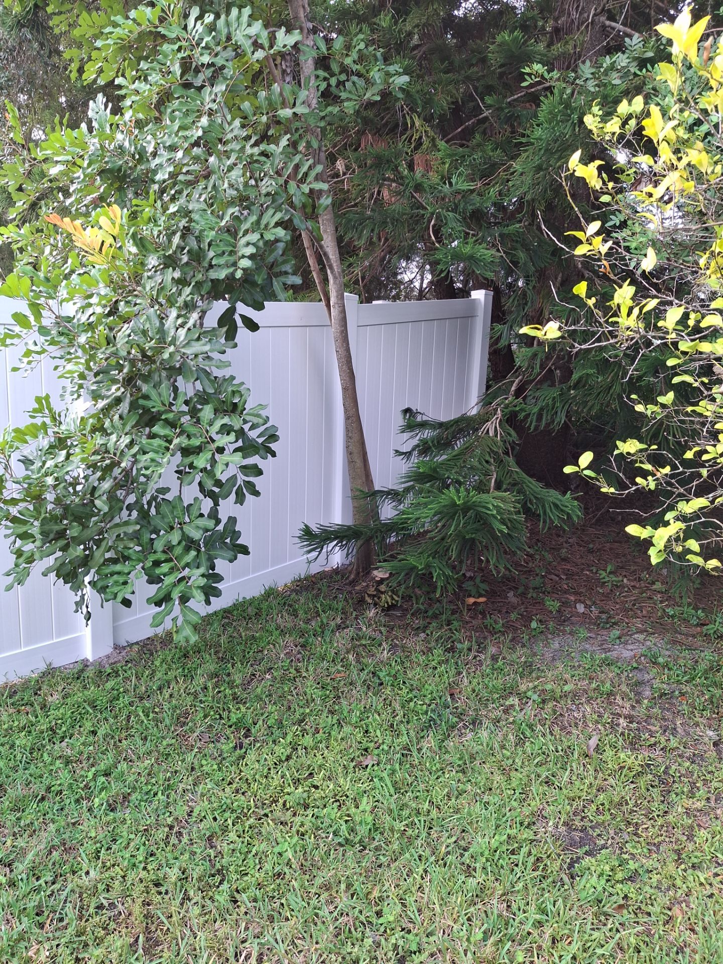12308 Hollybush Terrace by H&Y Fence