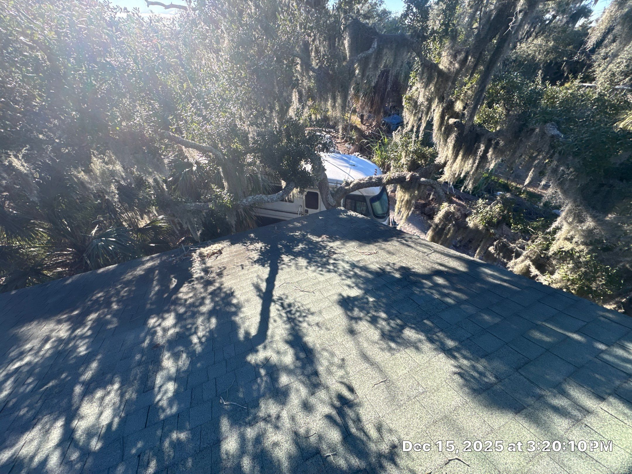 Tybee Island Atlas Pinnacle Pristine Morning Harvest Roof and redecking by Talya Roofing