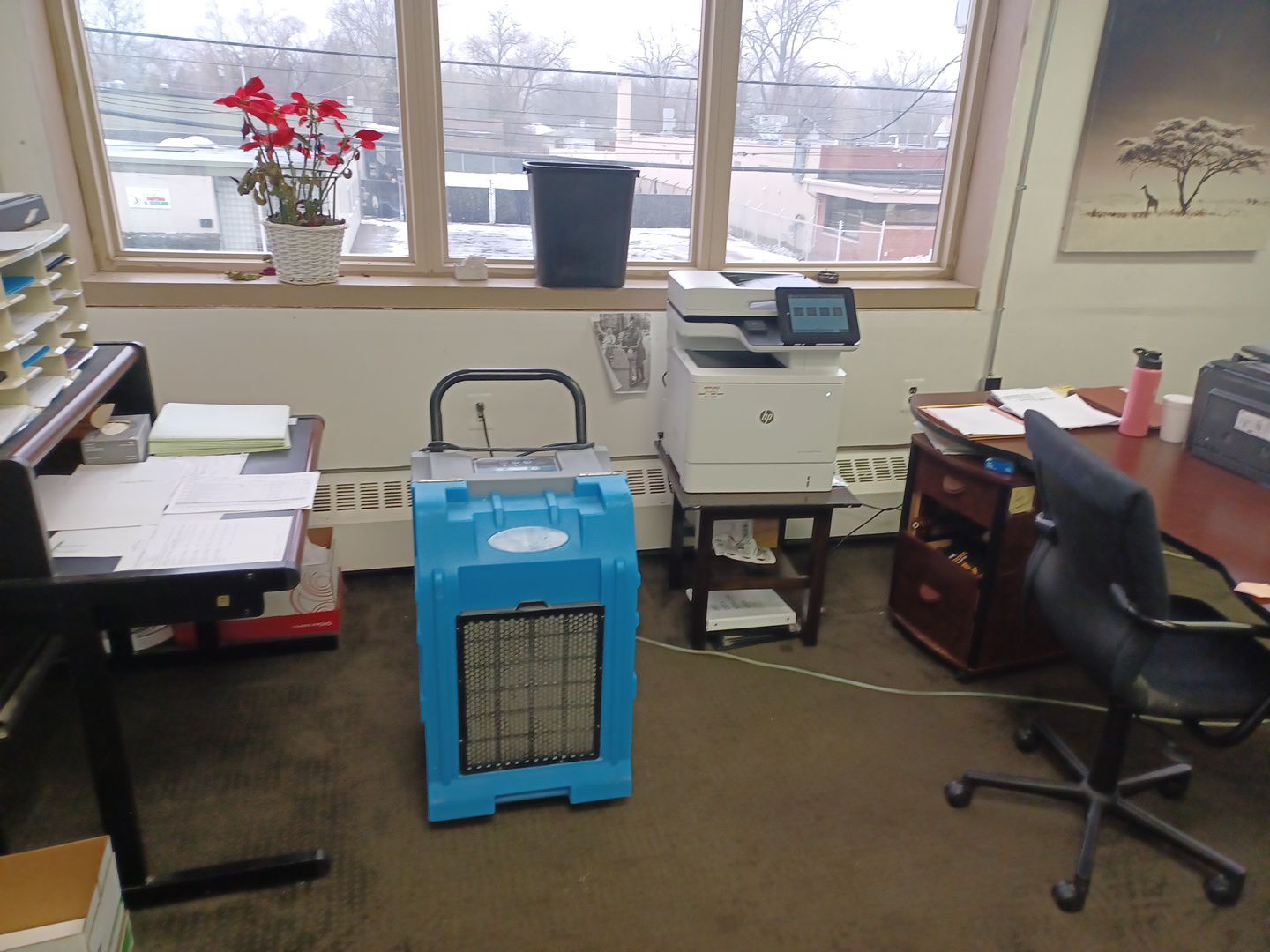 Project in Oak Park by EzDry Water Mitigation & Property Restoration