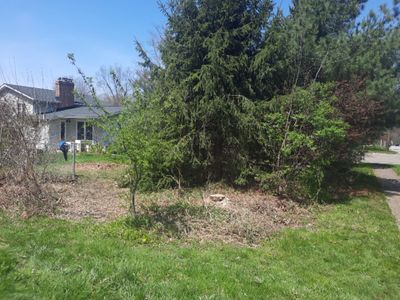 Tree Removal using Tree Removal