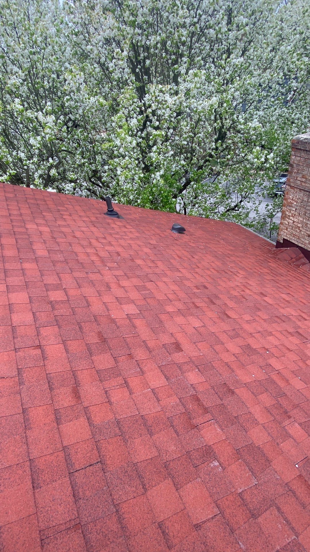 Springfield: Residential Roof Replacement with CertainTeed Landmark Pro in Max Def Red Oak by RM Banning, Inc.