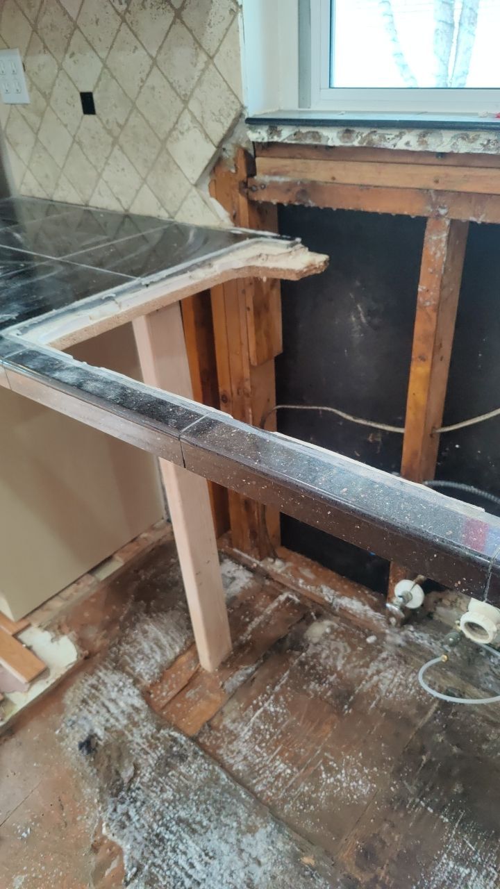 Mold Damage by Accountable Home Services