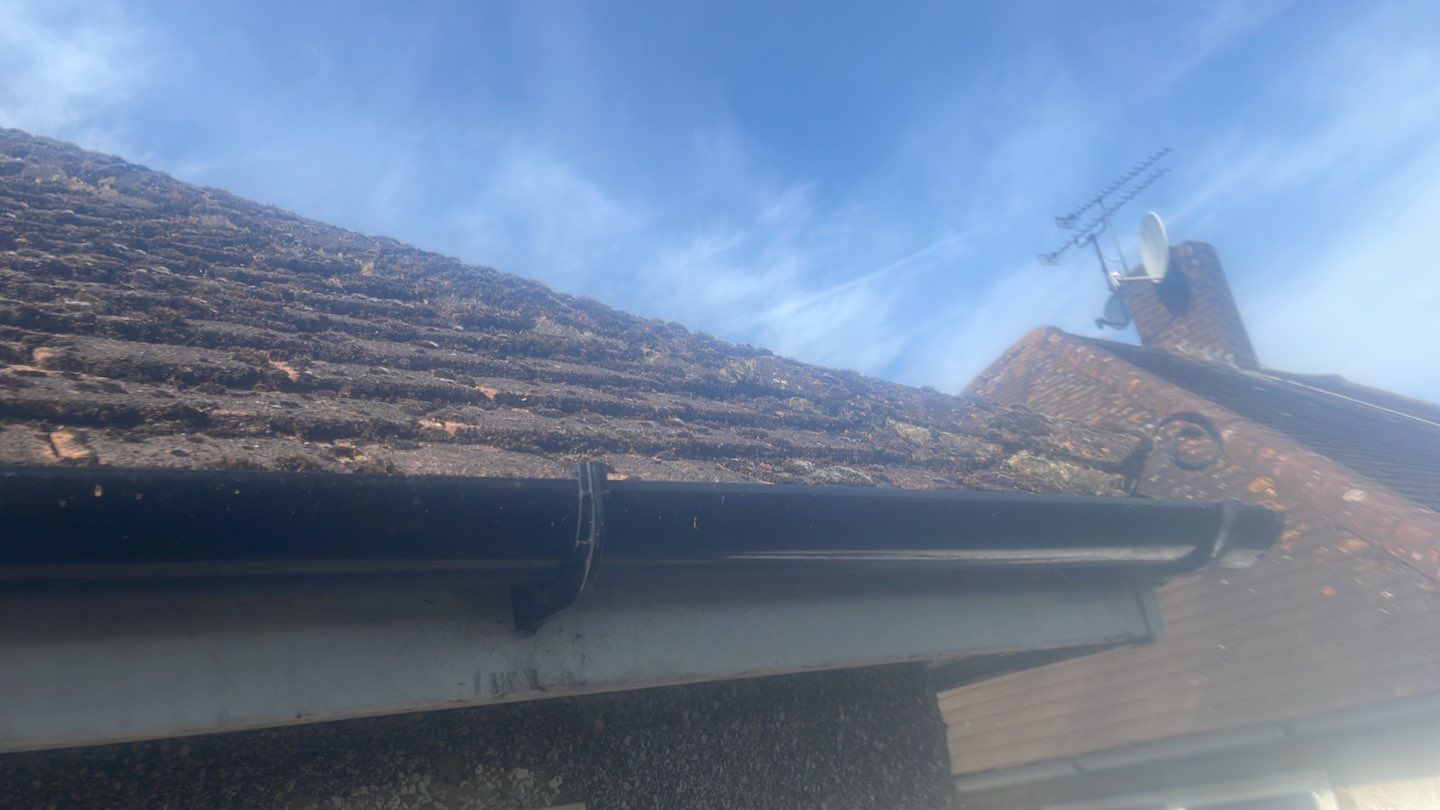 Roof Clean  - Moss Removal - Gutter Clean using Honda 15lpm Low Pressure Washing Machine by Ges Exterior Cleaning ltd