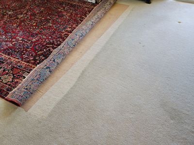 Never Cleaned Before, Carpet Clean