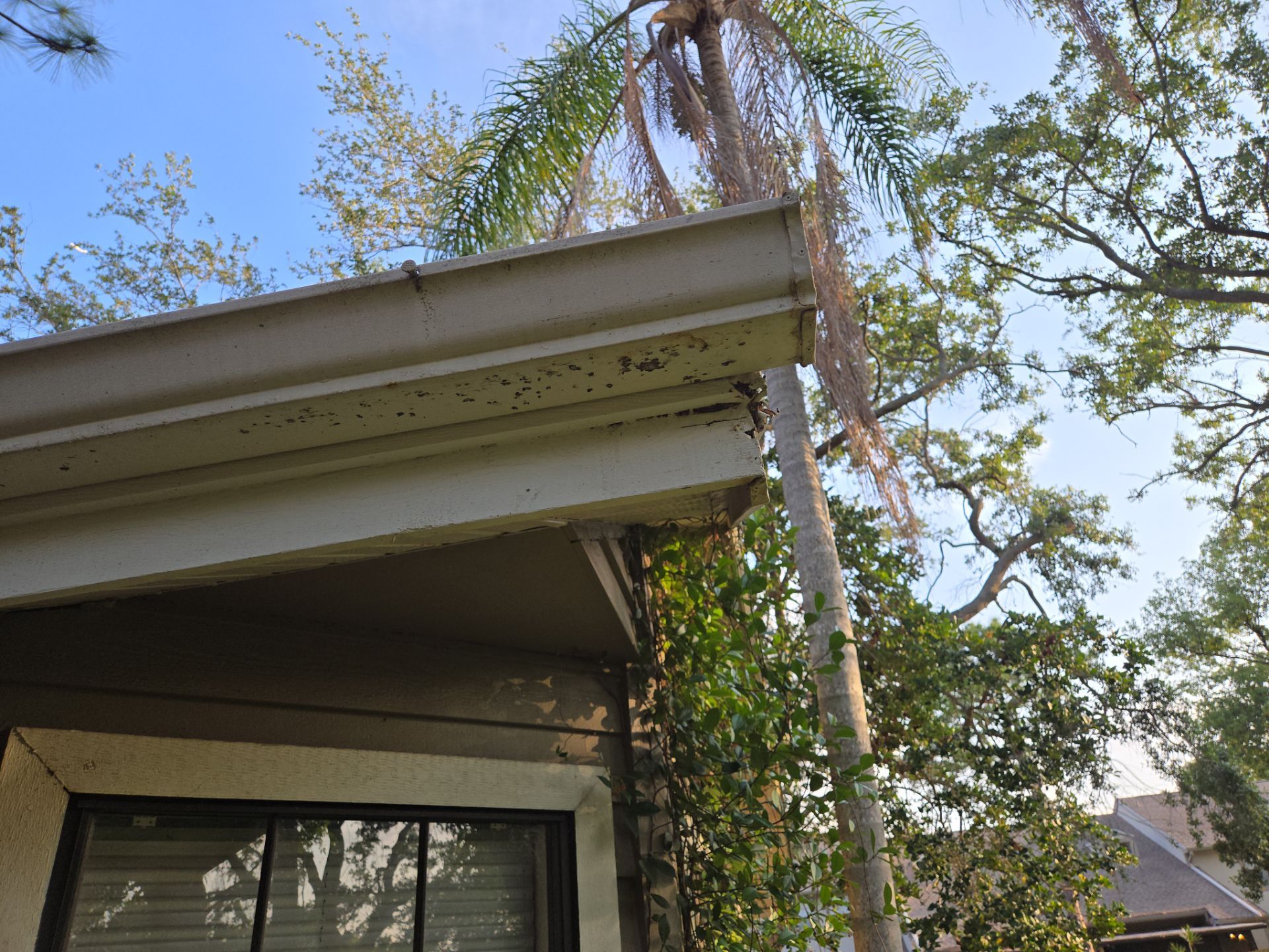 Project in Clearwater 33760 by Mitchell Roofing Company LLC 