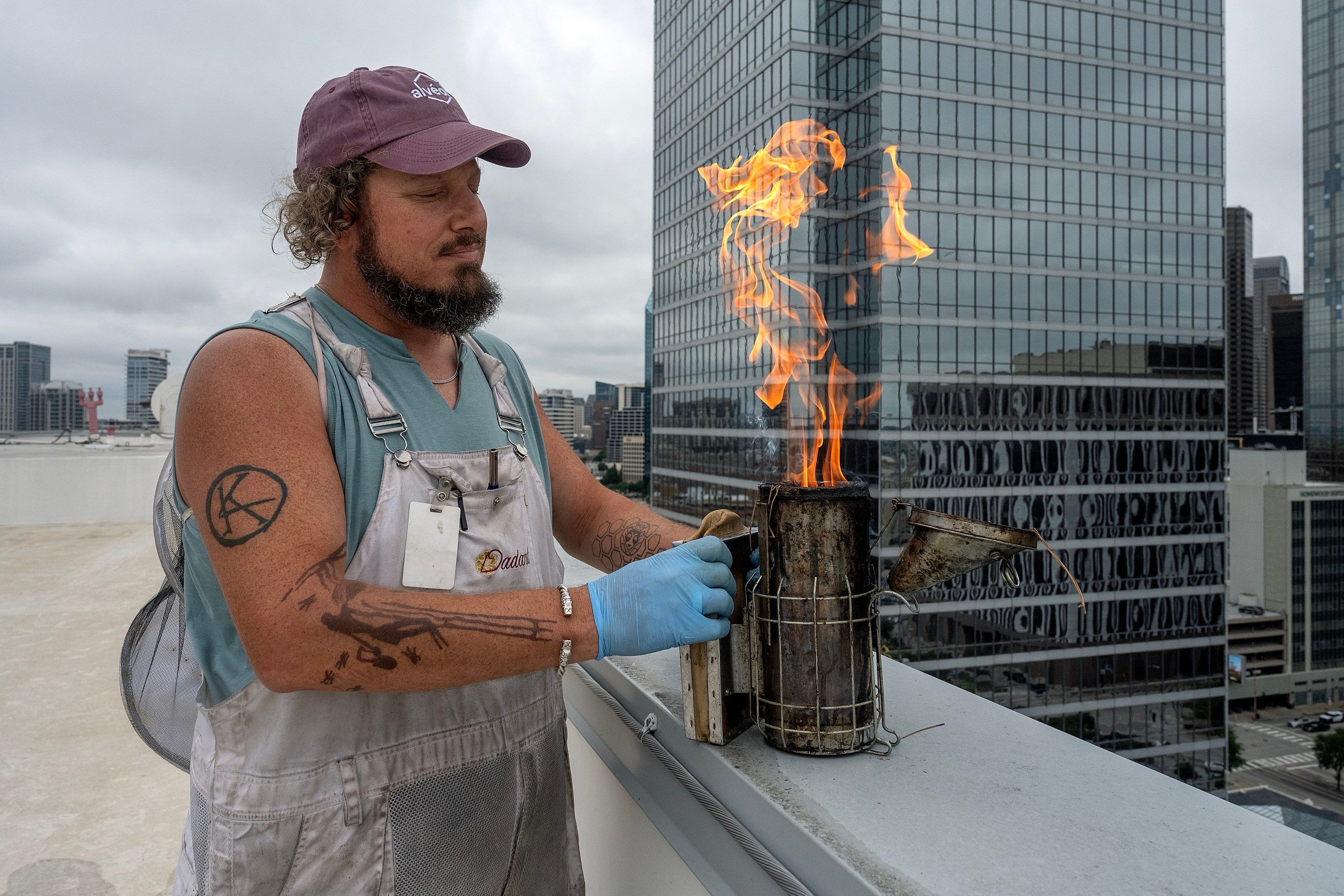 Urban Beekeeping in Dallas by Rockwall Honey Bee Company