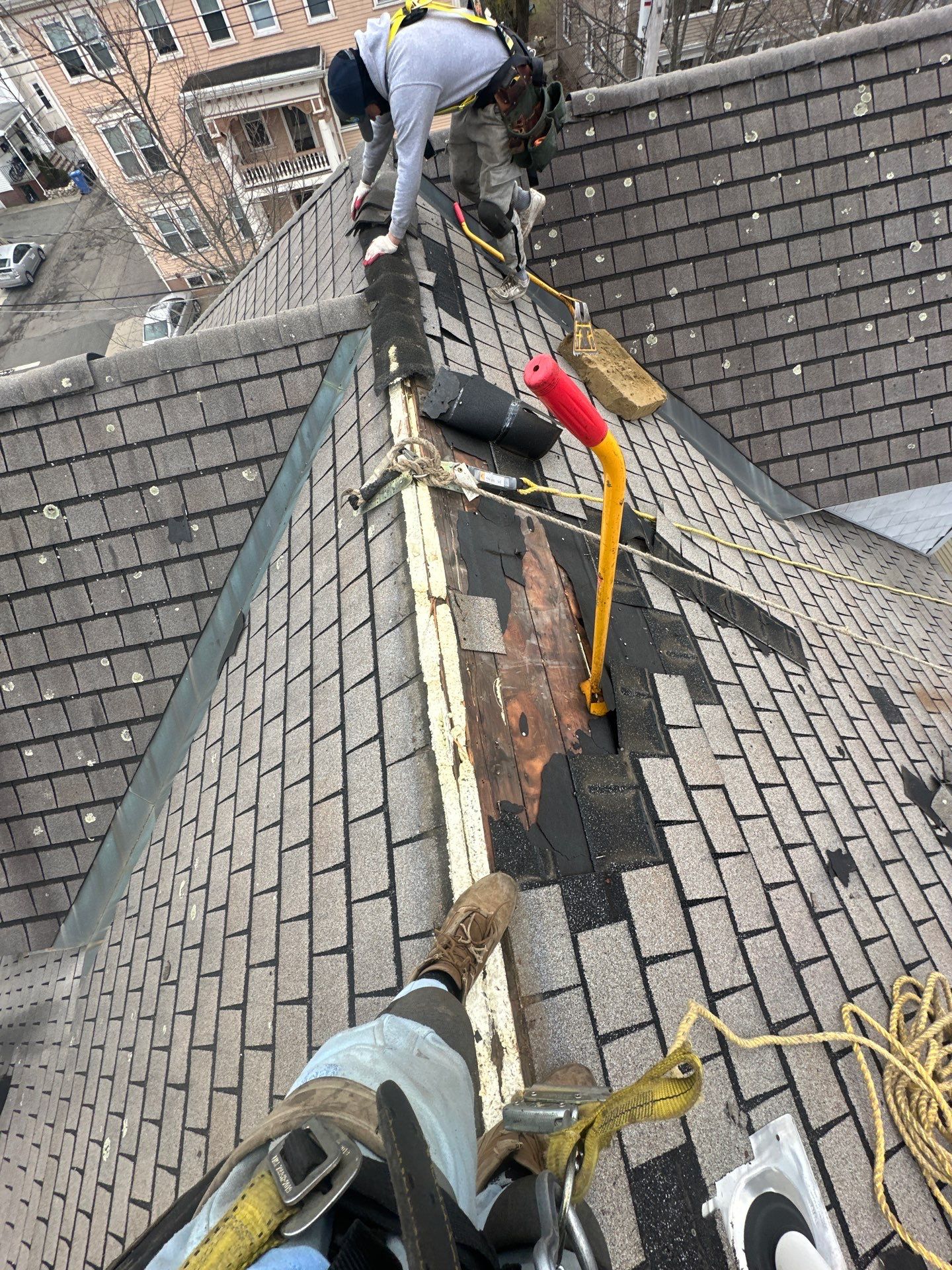 Roofing | Belmont by Mighty Dog Roofing of Greater Middlesex County