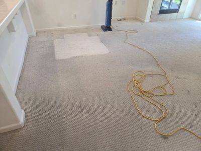 Heavy Carpet Cleaning for a Listing