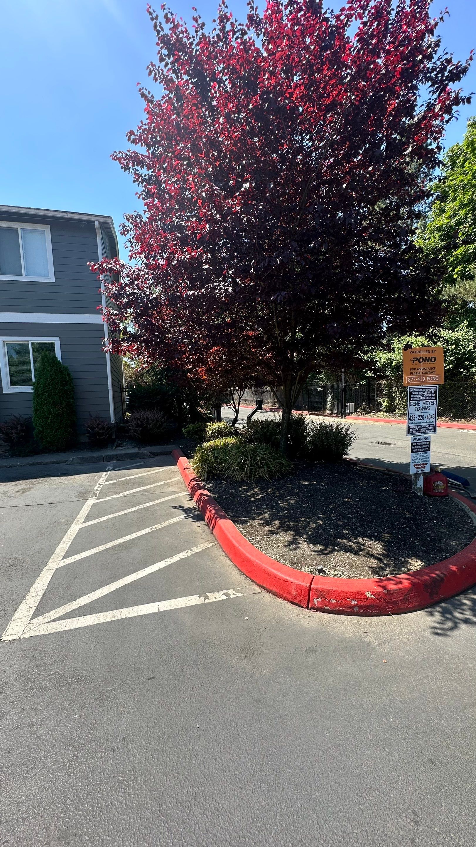 Chaz | Driveway Repave, Asphalt Project  by Jireh Asphalt & Concrete Inc 