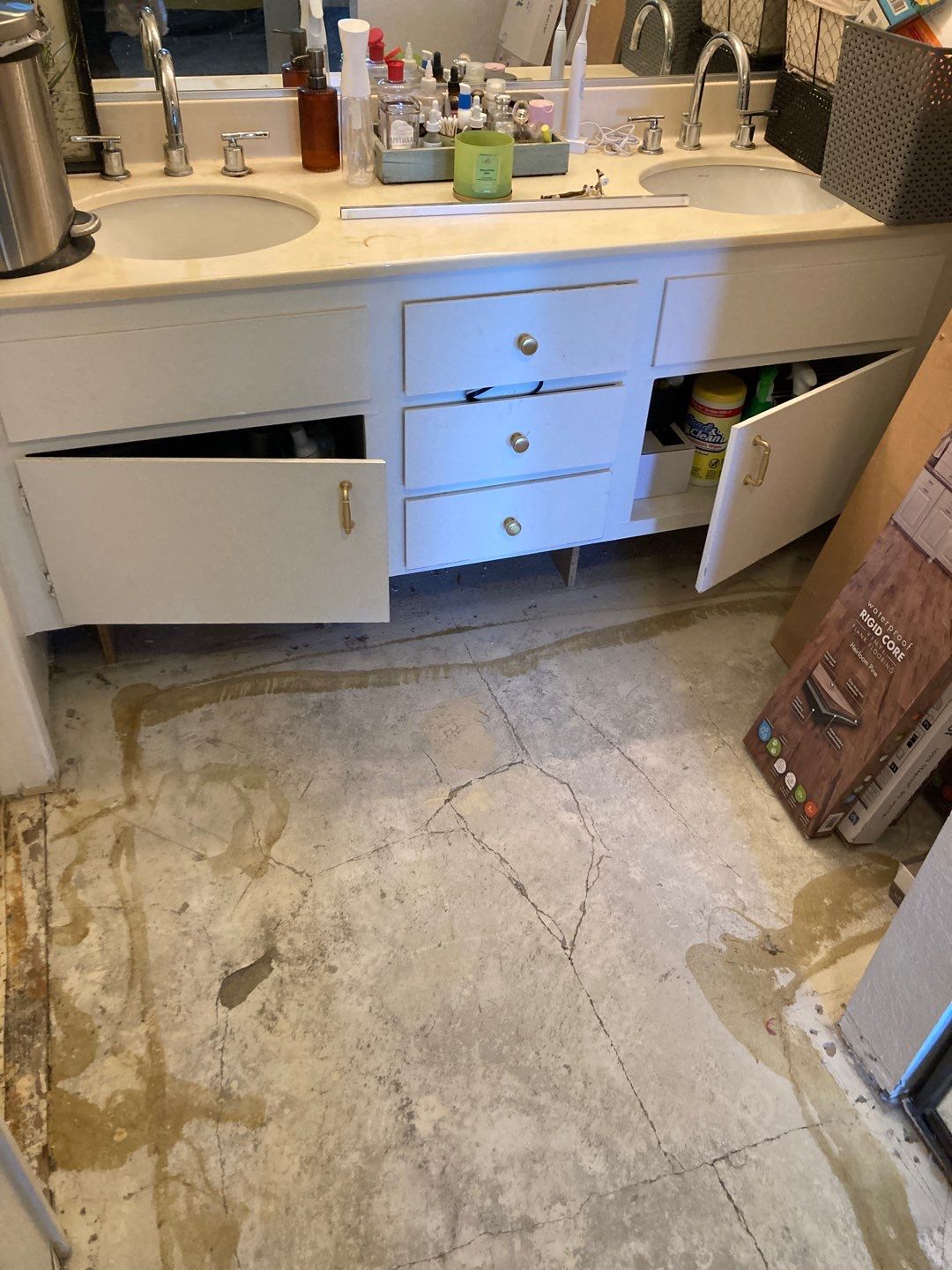 Replace Carpet with LVP by Andre Handyman