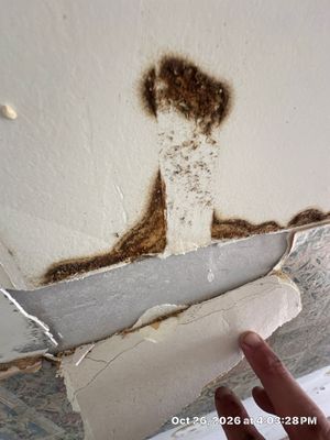 AC Leak Water Damage — Naples, FL