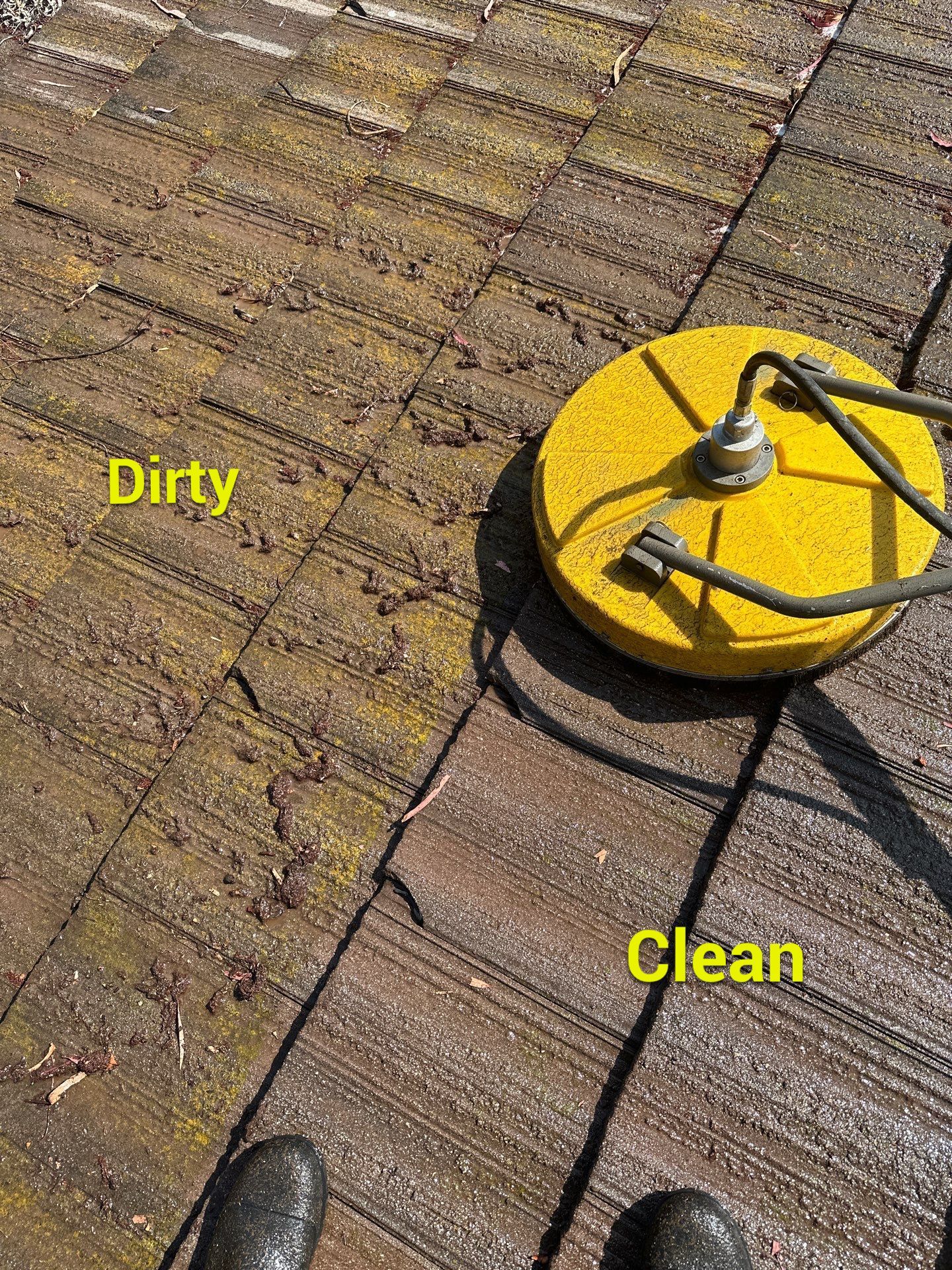 Orange County Roof Washing in Lake Forest by Property Cleaning Experts